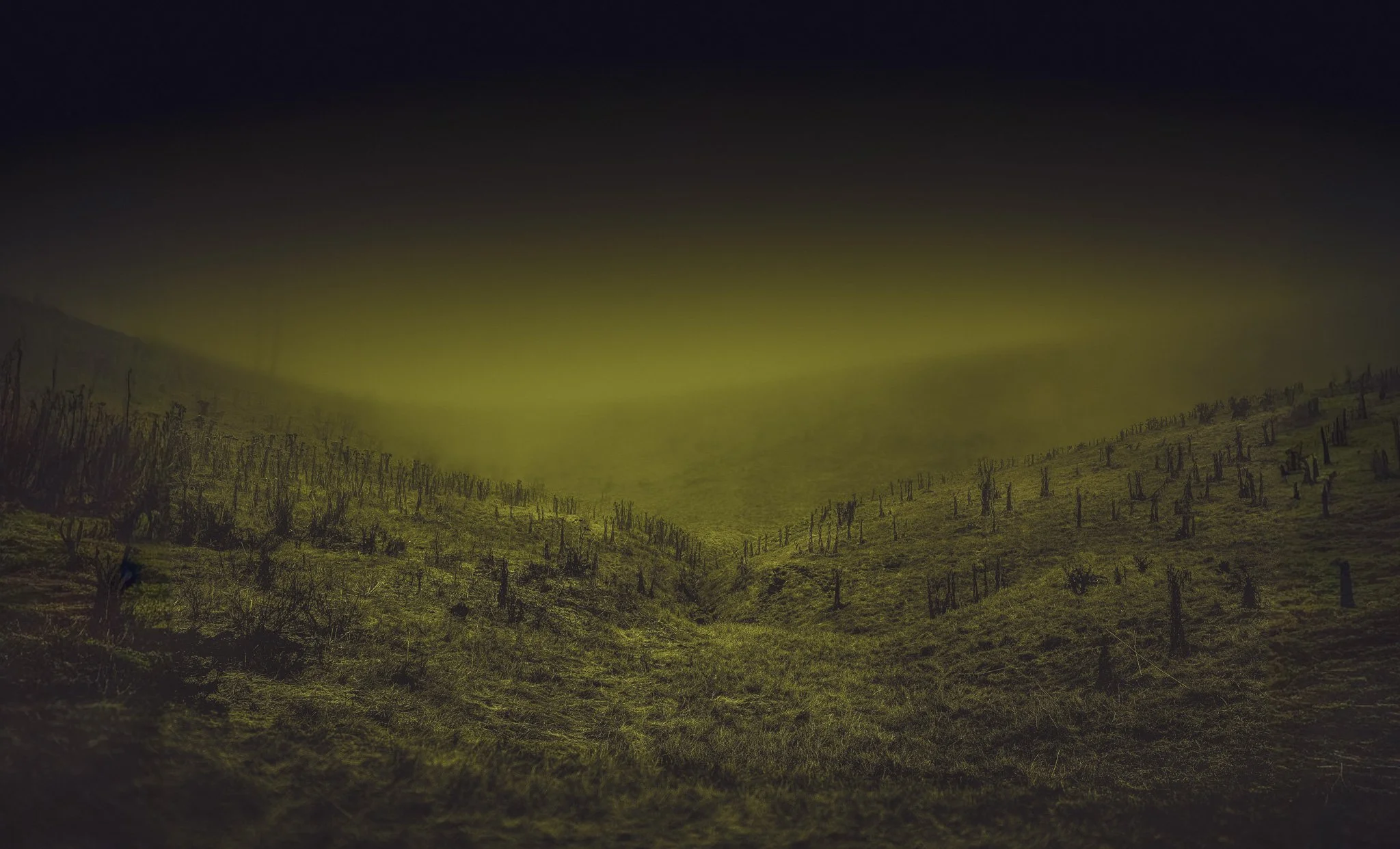 Pasture 2.jpg