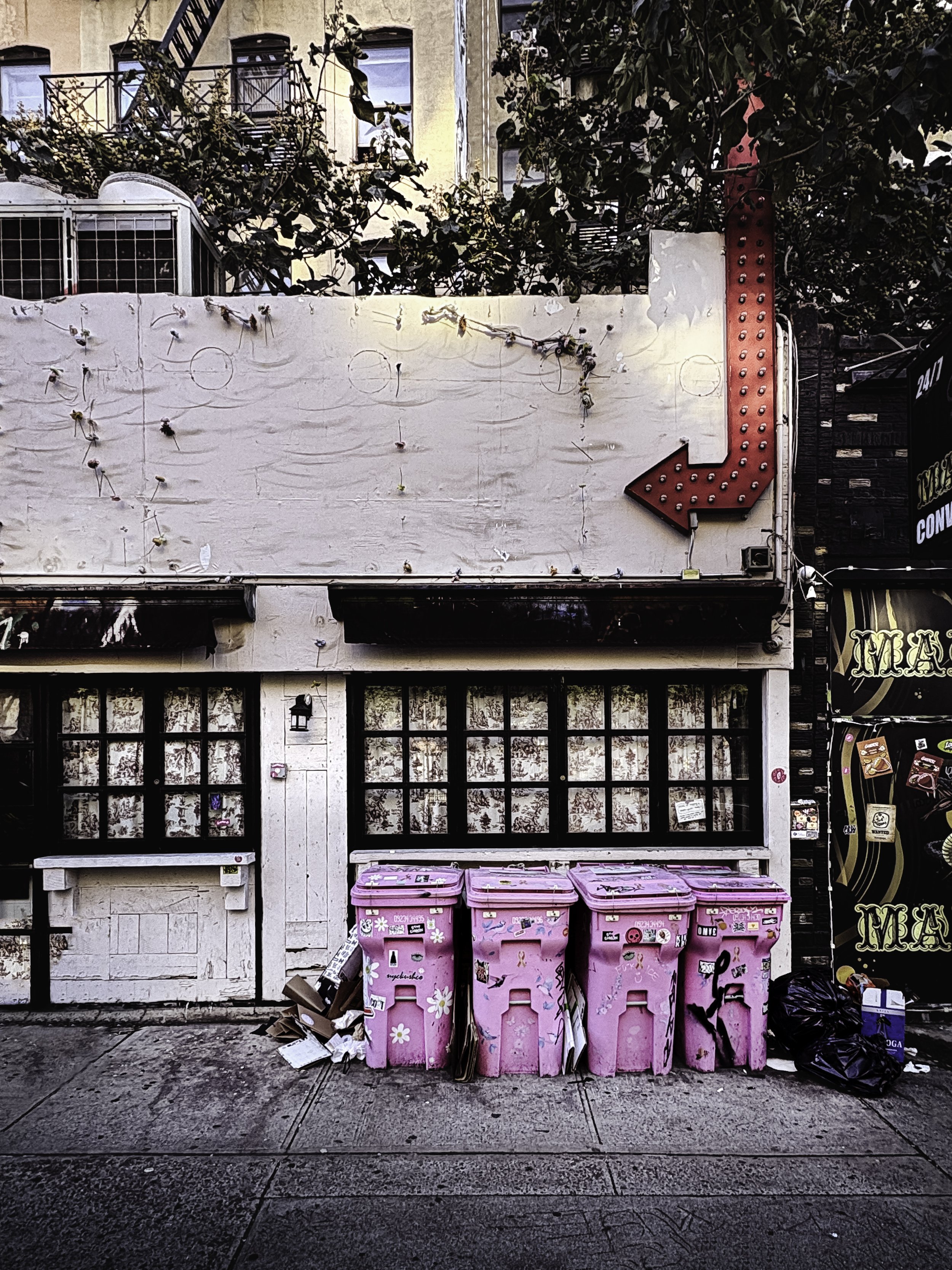 Pink Trash 2 lr.jpg