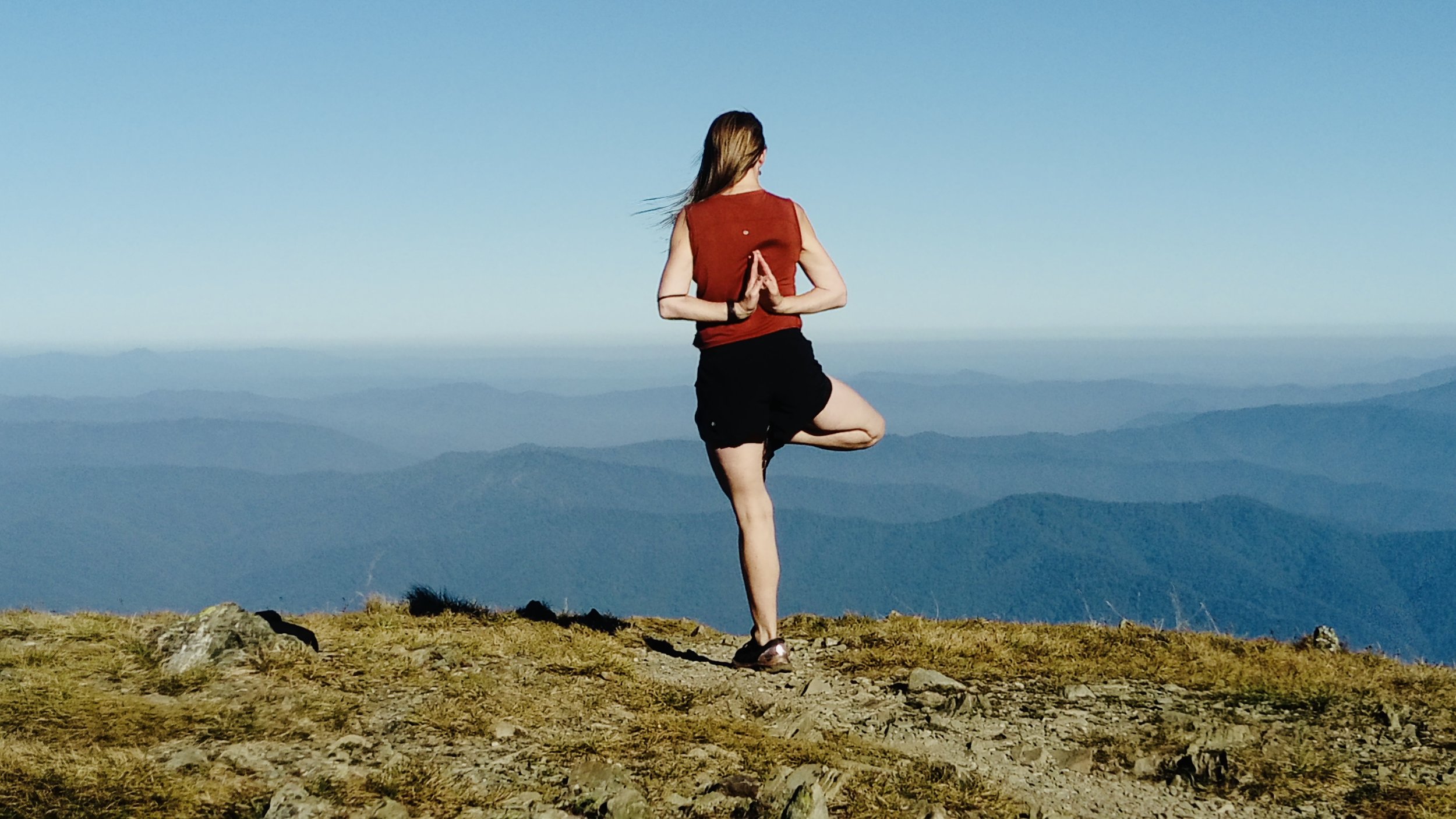 Mount feathertop, Vrikshasana, Tree Pose