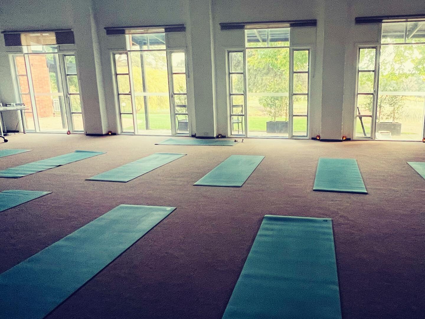 Sharing space at one of my favourite places 🧘&zwj;♀️