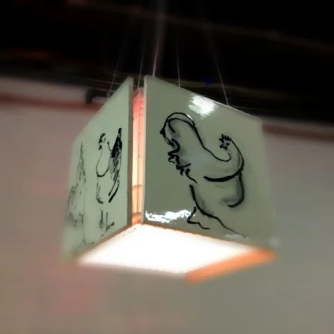 chicken light-minicam.jpeg