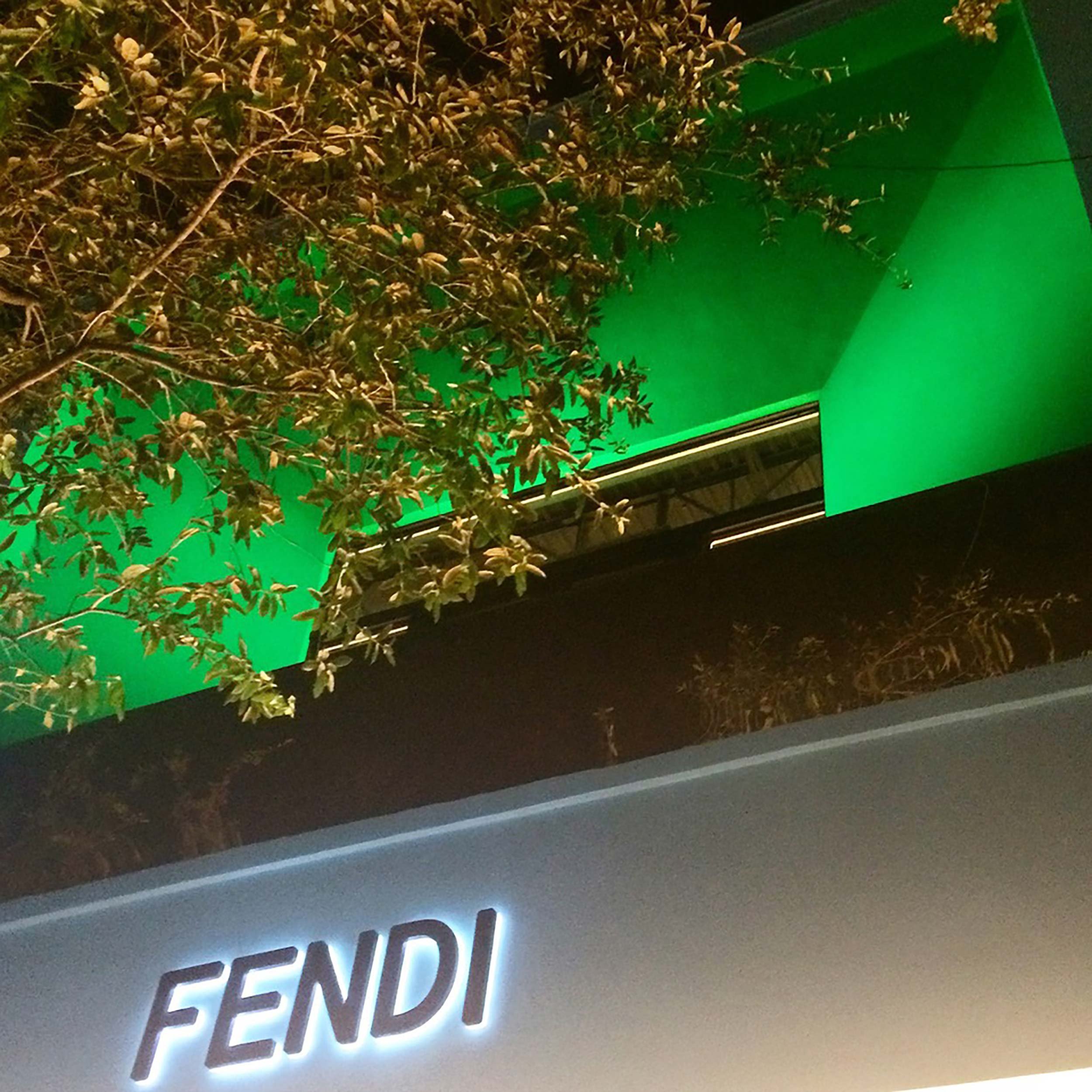fendi-02.jpg