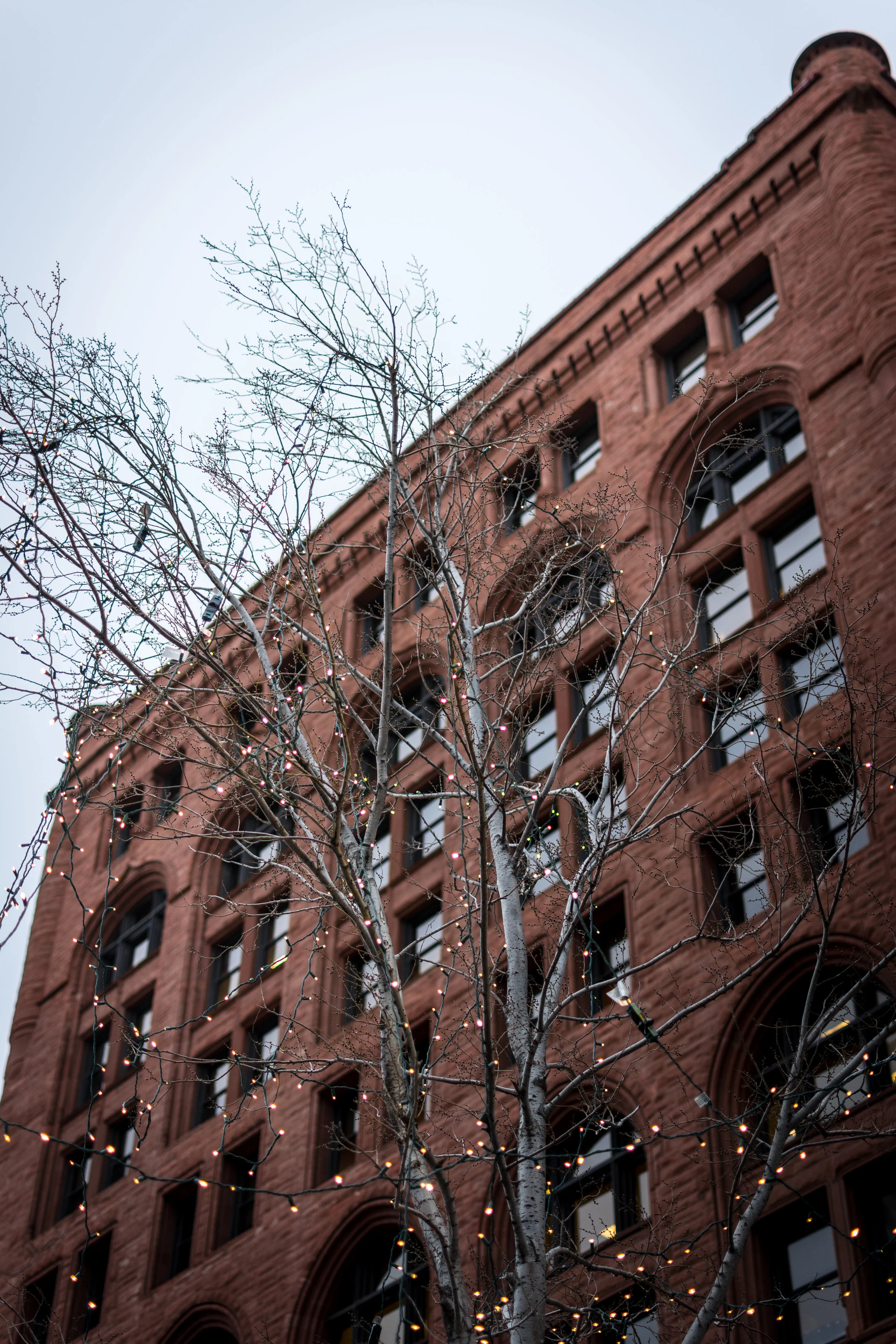 The residents busting the myth that apartments lack a sense of community