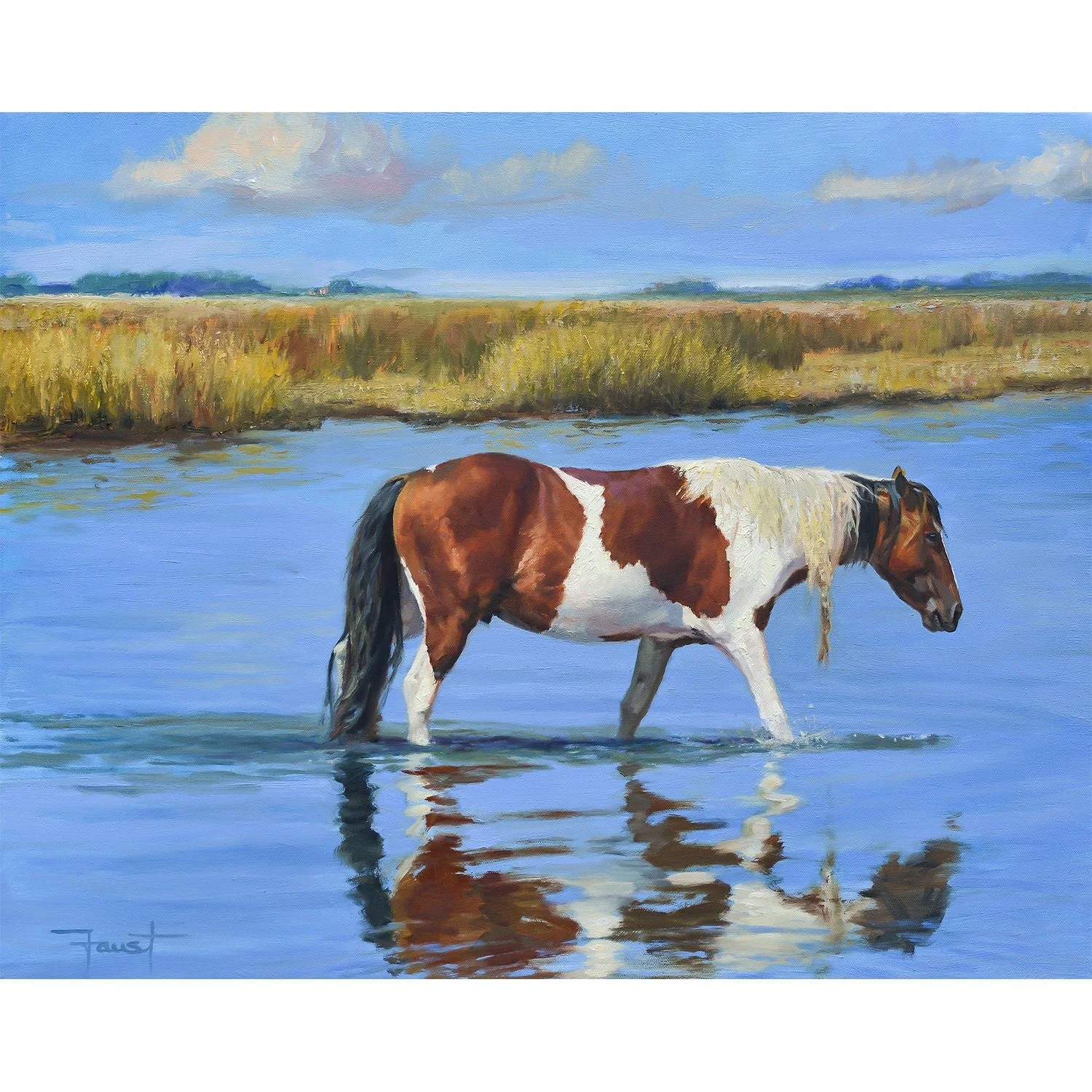 Assateague Reflections