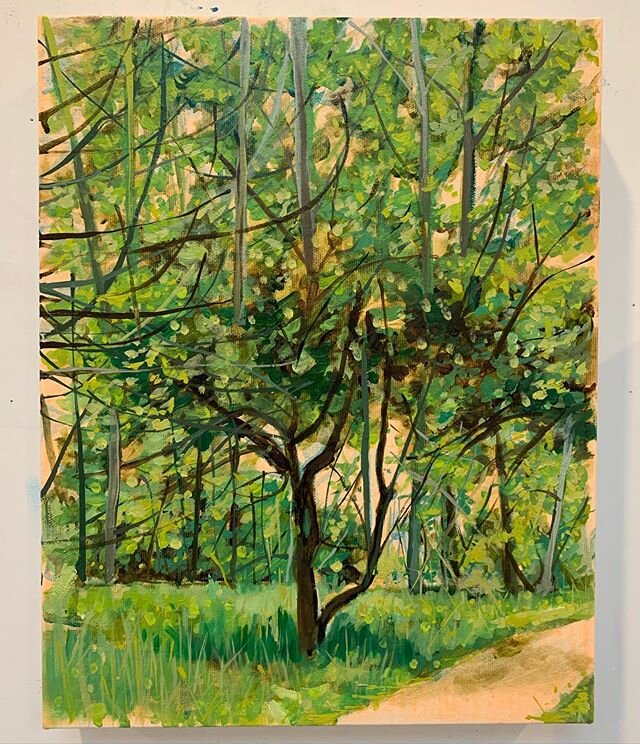 #wip I am just about to add the blossoms on this 11x14 oil on canvas #oilpainting #campbellvalleypark #pleinairpainting