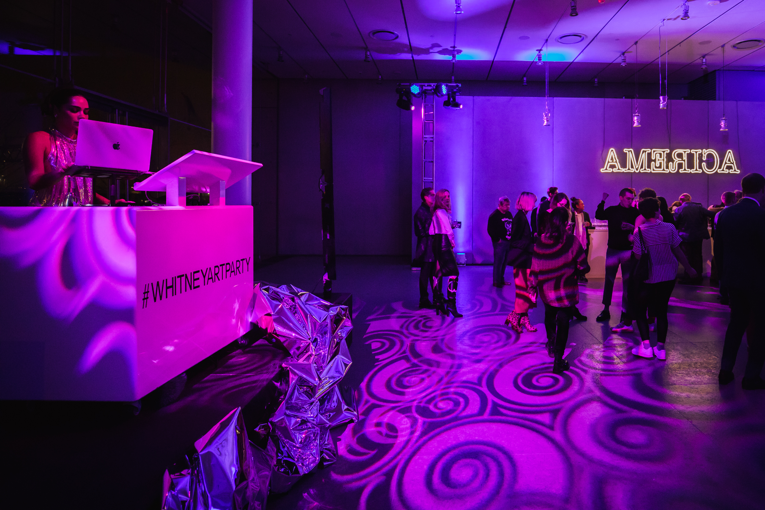 20190129_TINSEL WHITNEY ART PARTY_0060.jpg