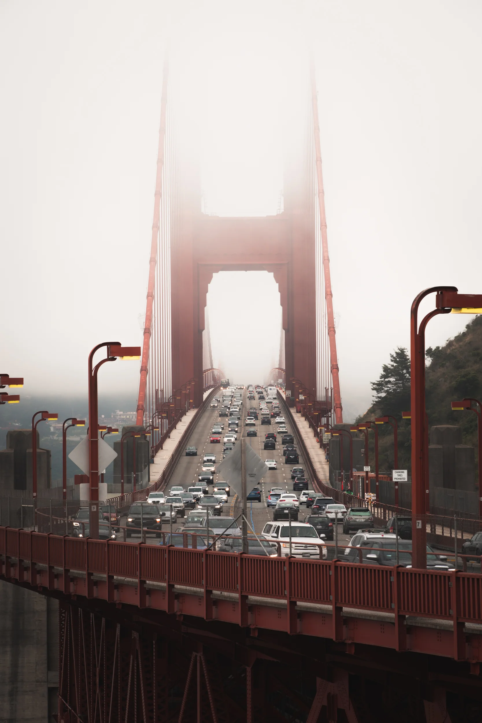 20190613_OSHIMAGES SF_0004.jpg