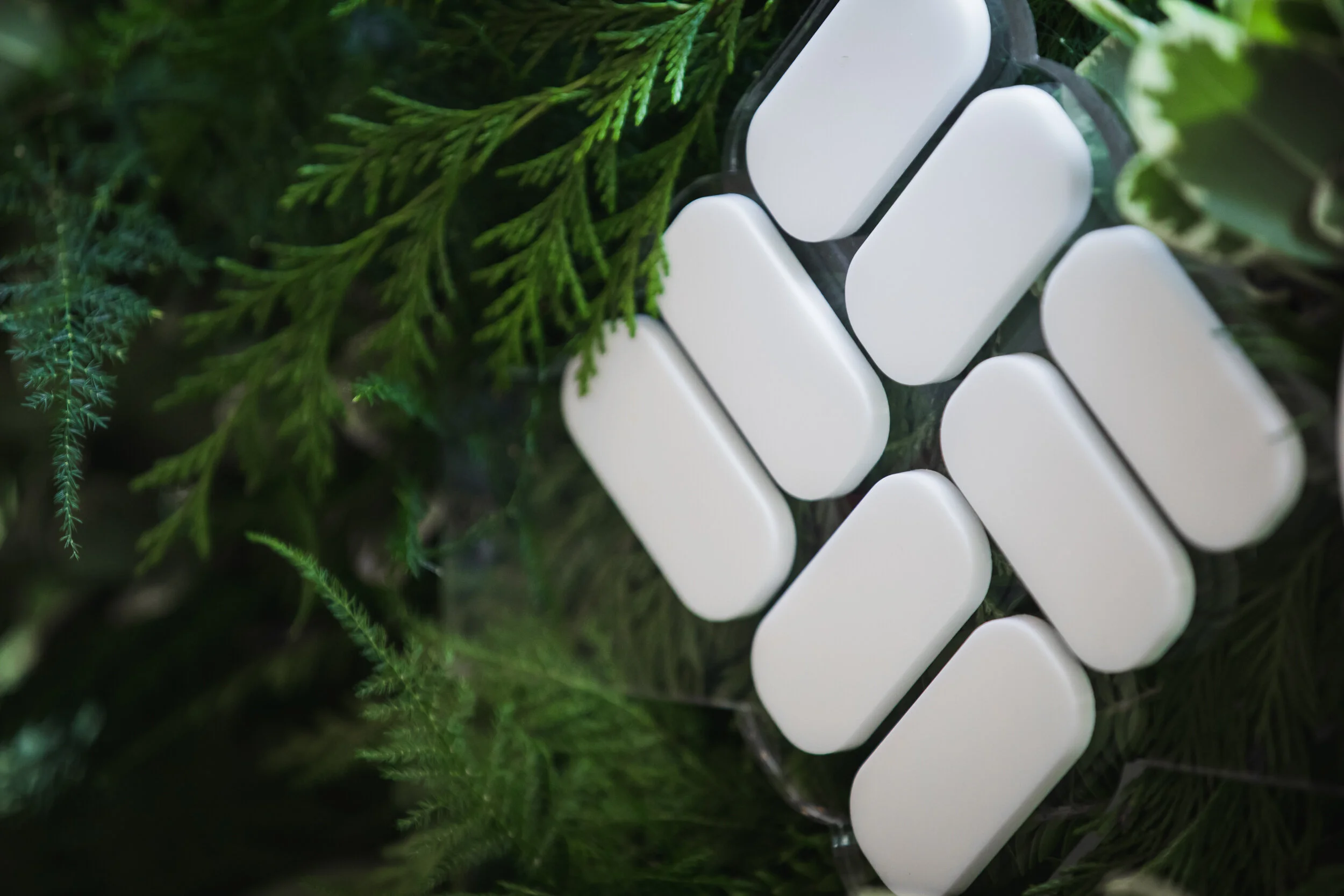 20190805_TINSEL X COLUMBIA_0012.jpg