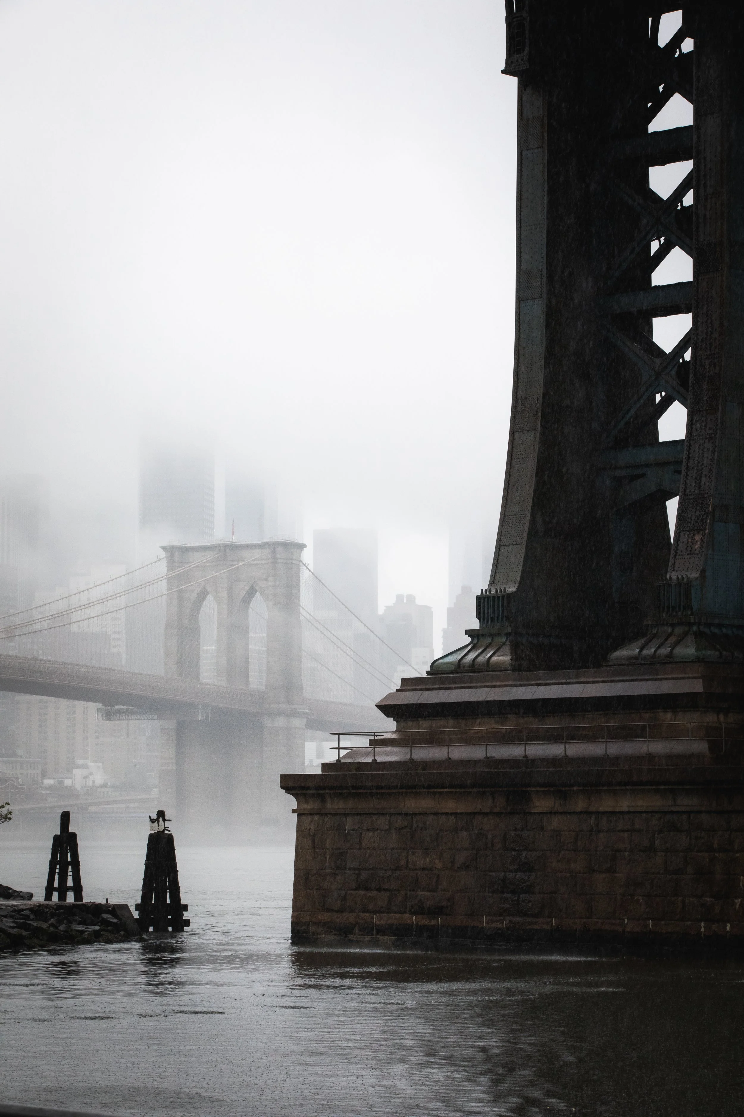 OSHIMAGES 20.jpg