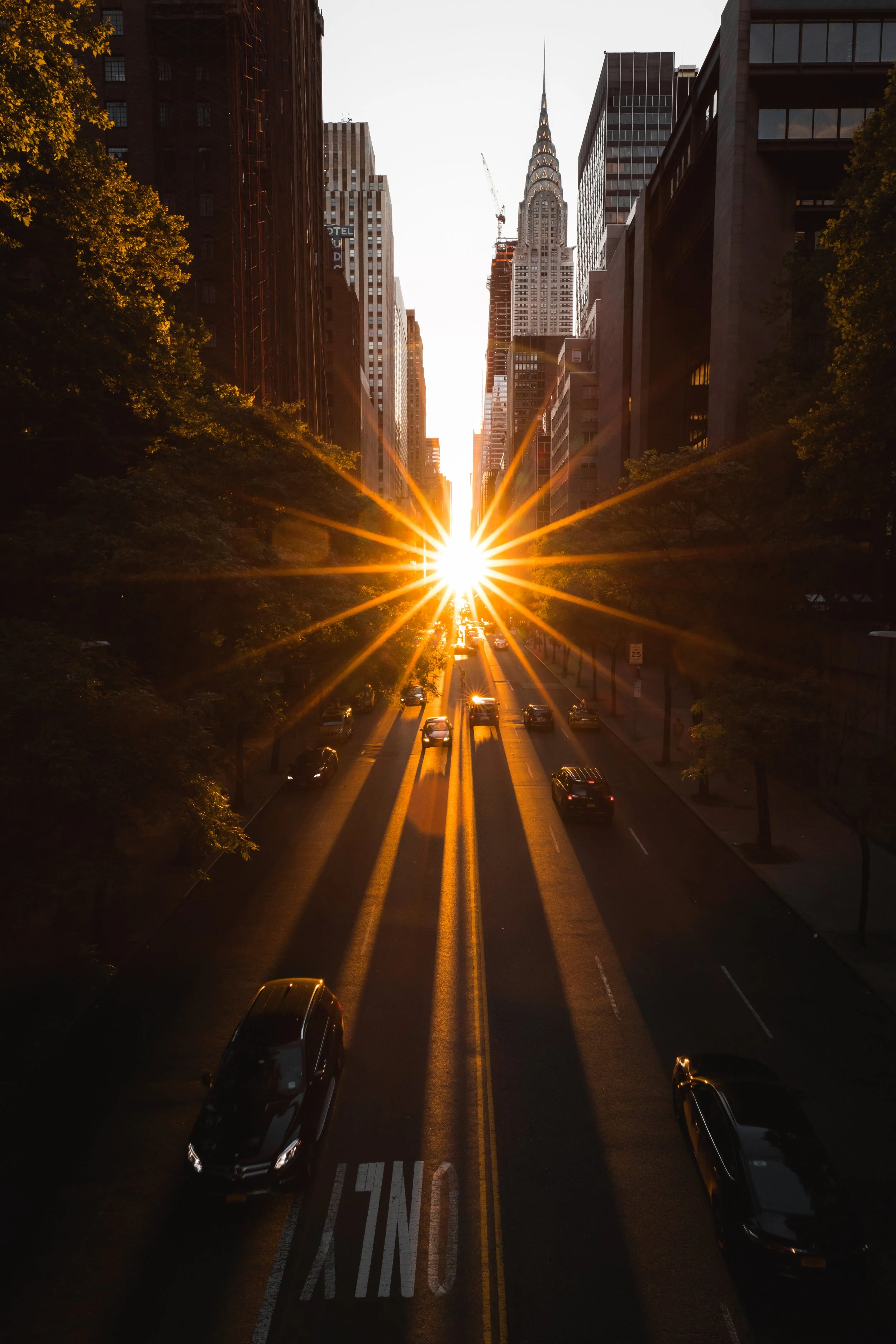 OSHIMAGES 23.jpg