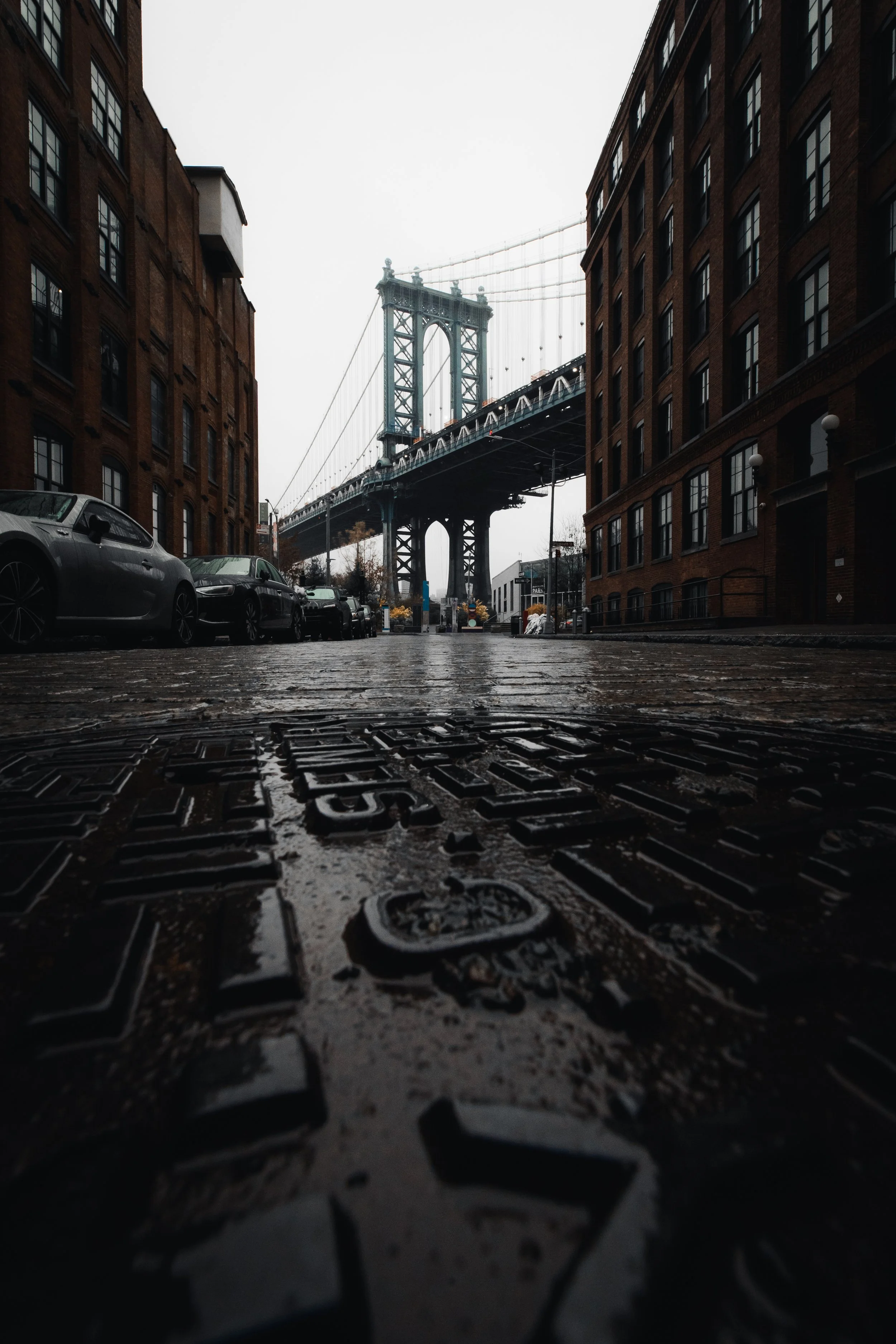 OSHIMAGES 25.jpg