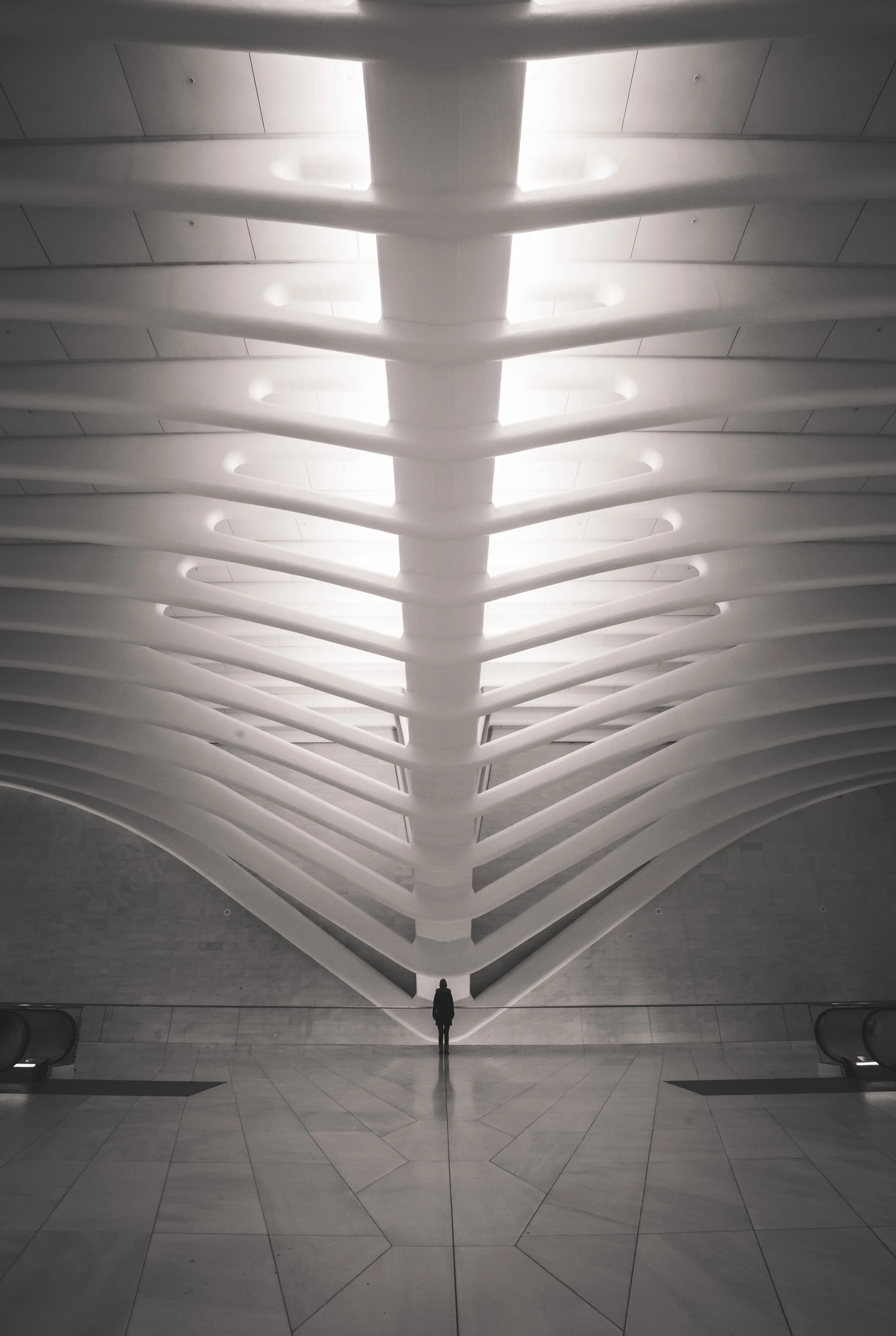 OSHIMAGES 29.jpg
