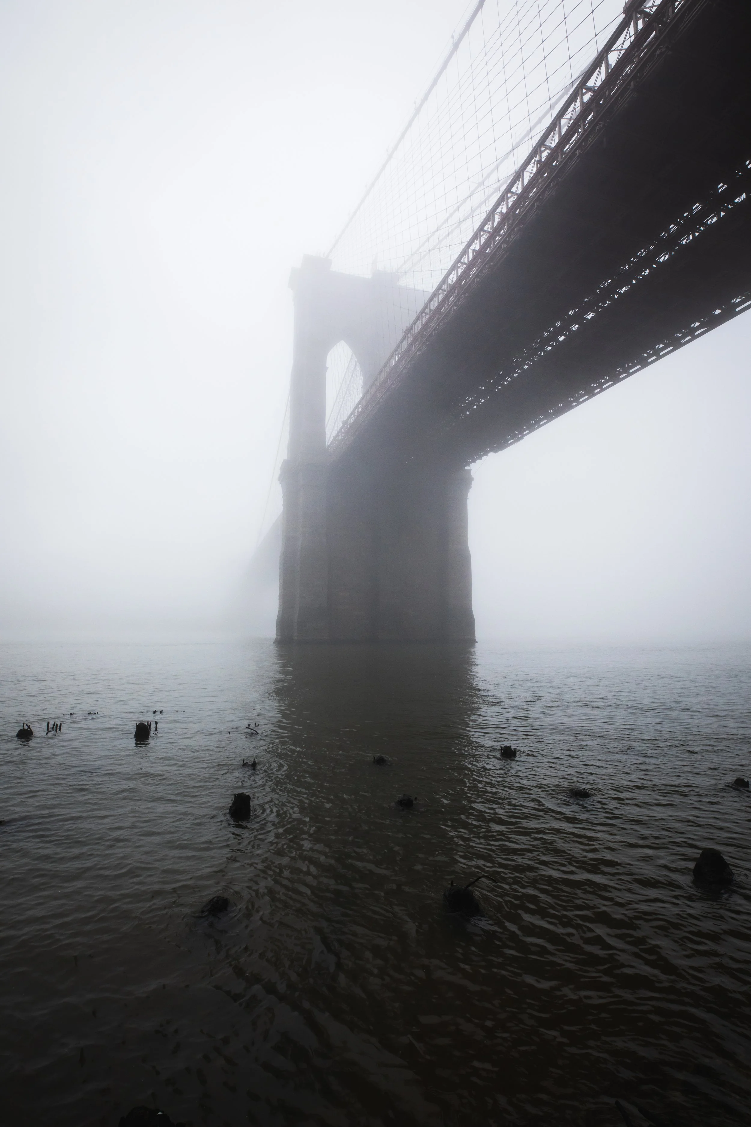 OSHIMAGES 16.jpg