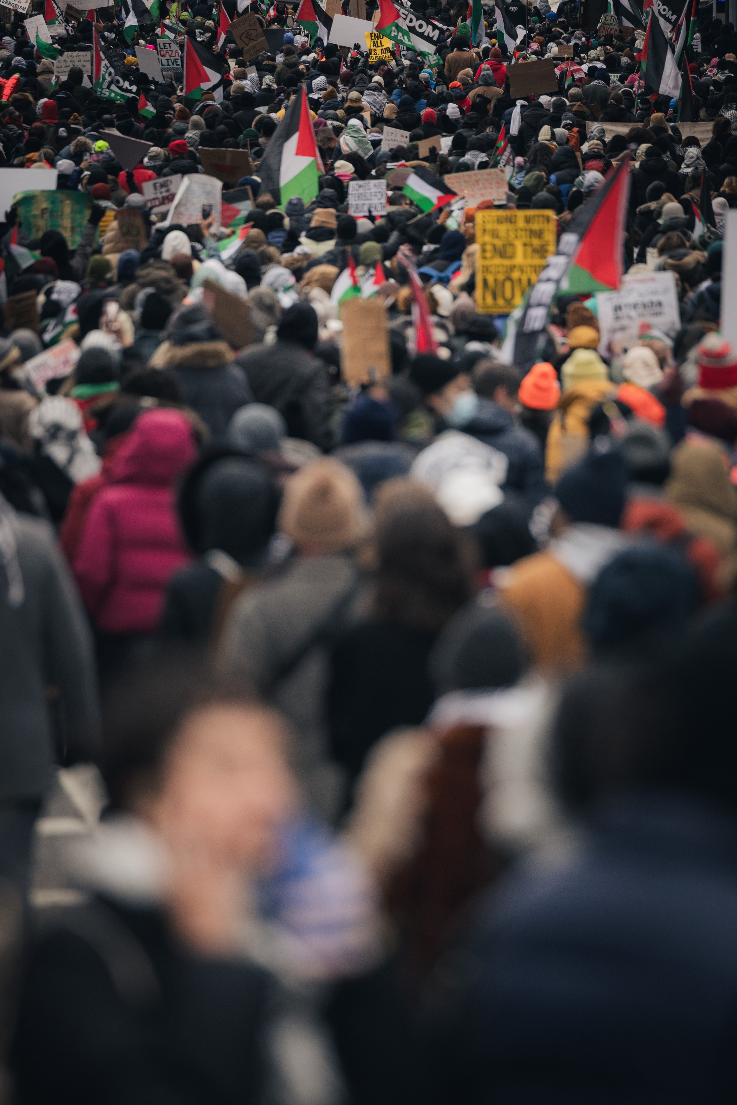 20240114_NYC DIANA PALESTINE XI_033.jpg