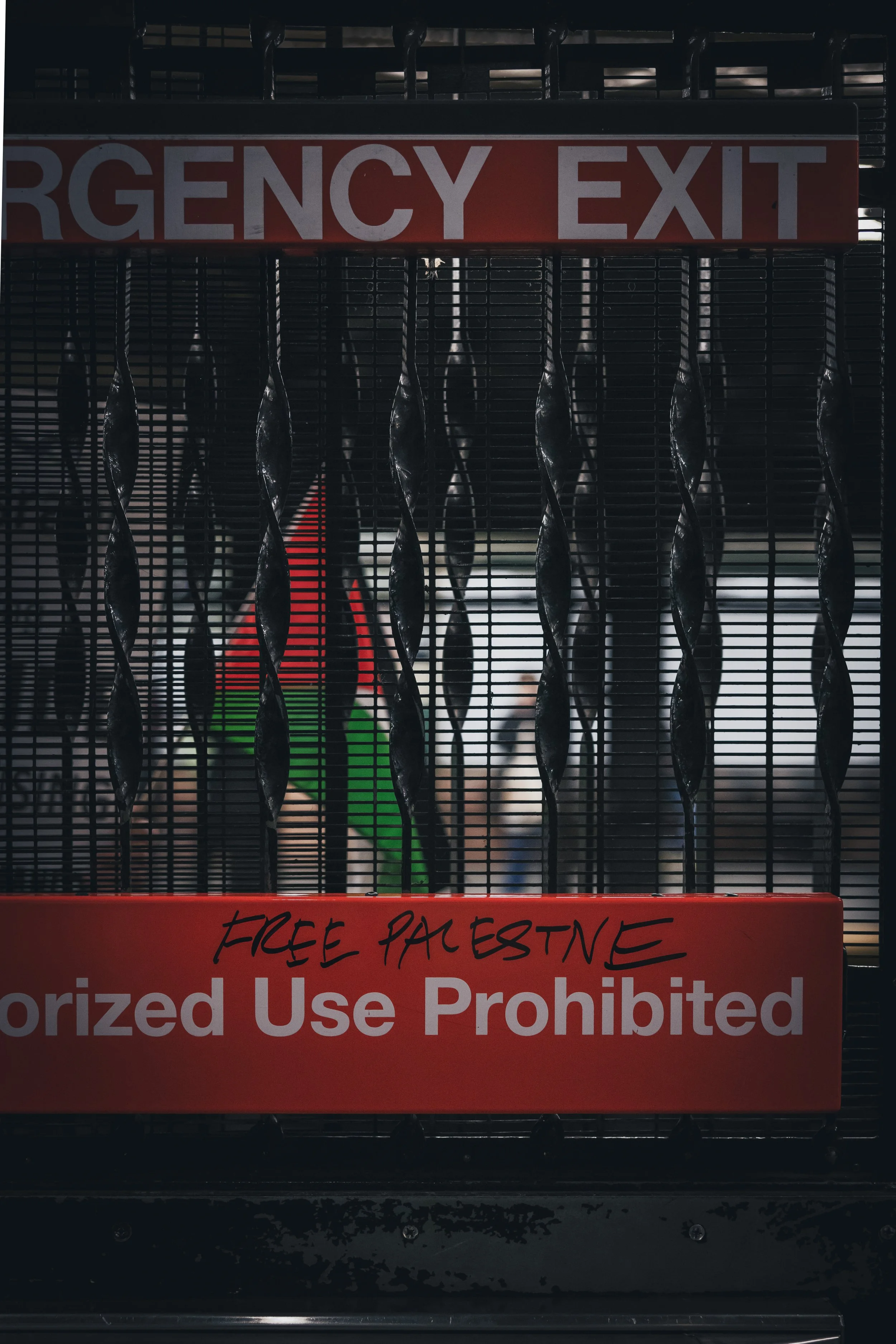 20240228_NYC PALESTINE XIX_082.jpg