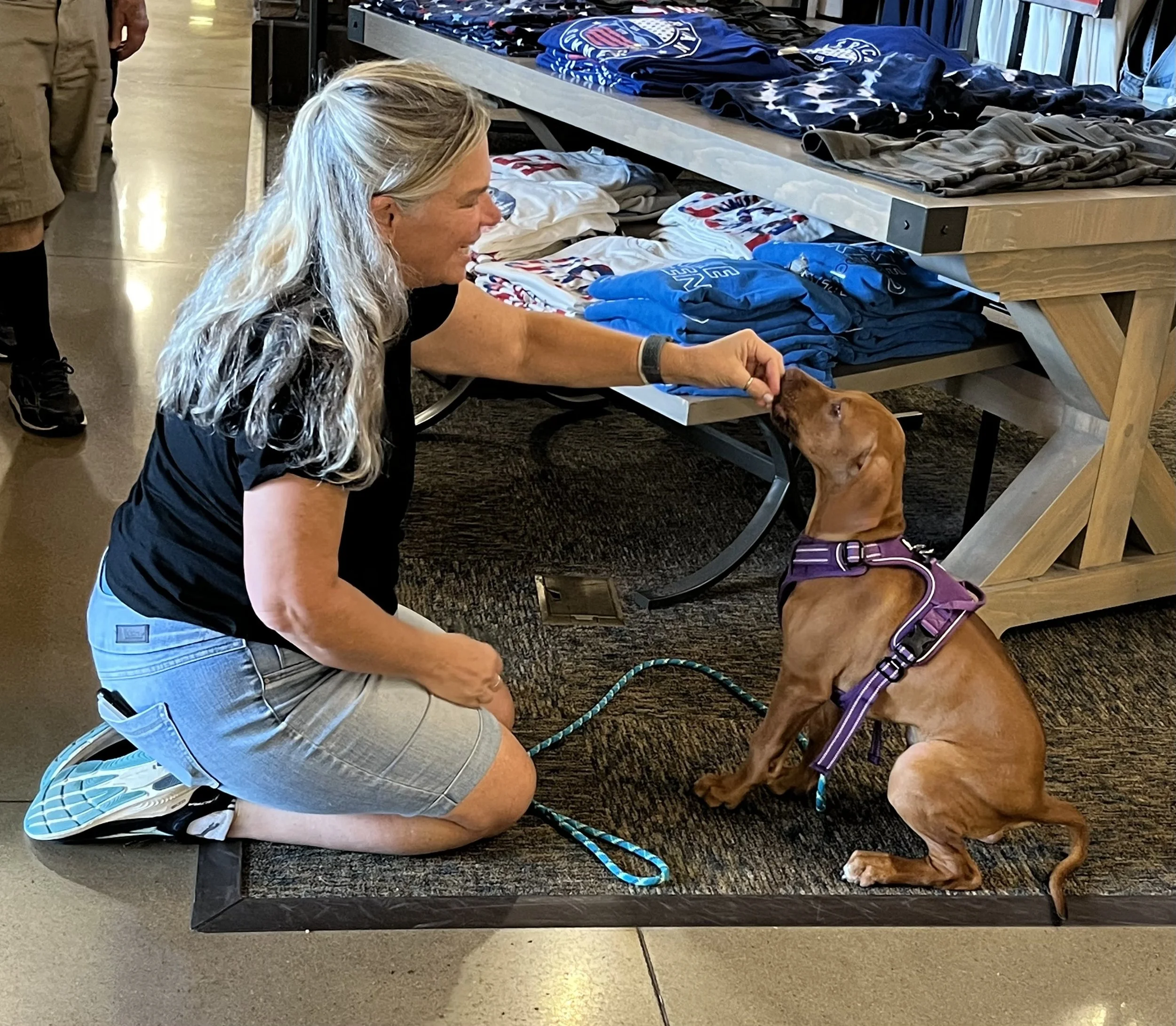 Celebrating 25 years of helping dogs behave!