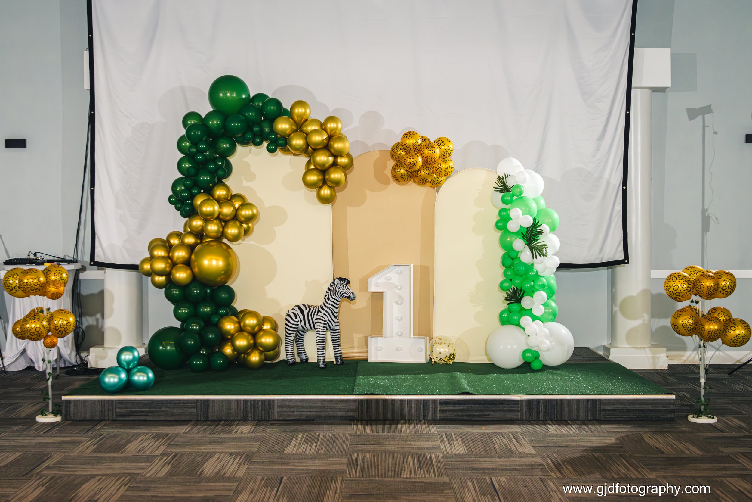 David 1st Birthday-1.jpg