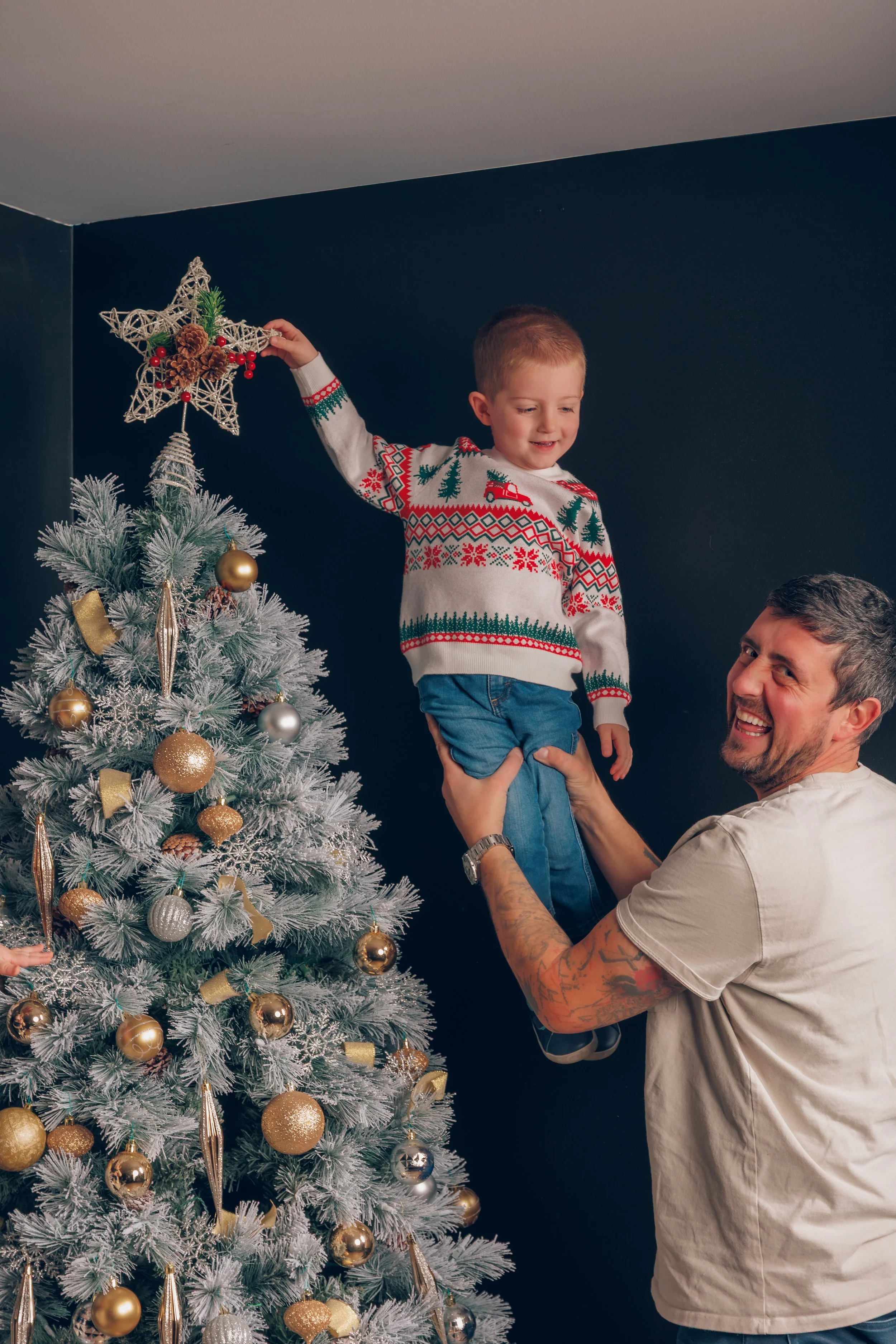 A man lifting a young boy near a decorated Christmas tree with gold and silver ornaments, with the boy holding a star tree topper.
