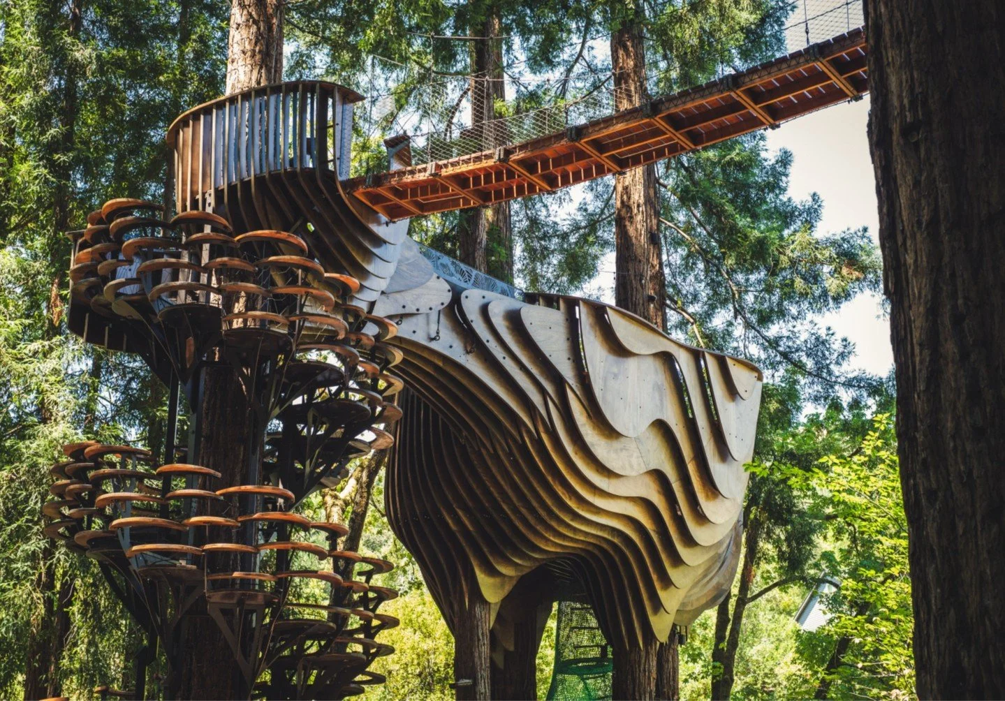 Blending whimsical design with functional gathering spaces, &quot;Redwood Ripple&quot; by O2 Treehouse celebrates the mystical beauty of mushrooms in the forest!🍄&zwj;🟫

This piece's 500-square-foot platform soars 35 feet into the forest canopy, su