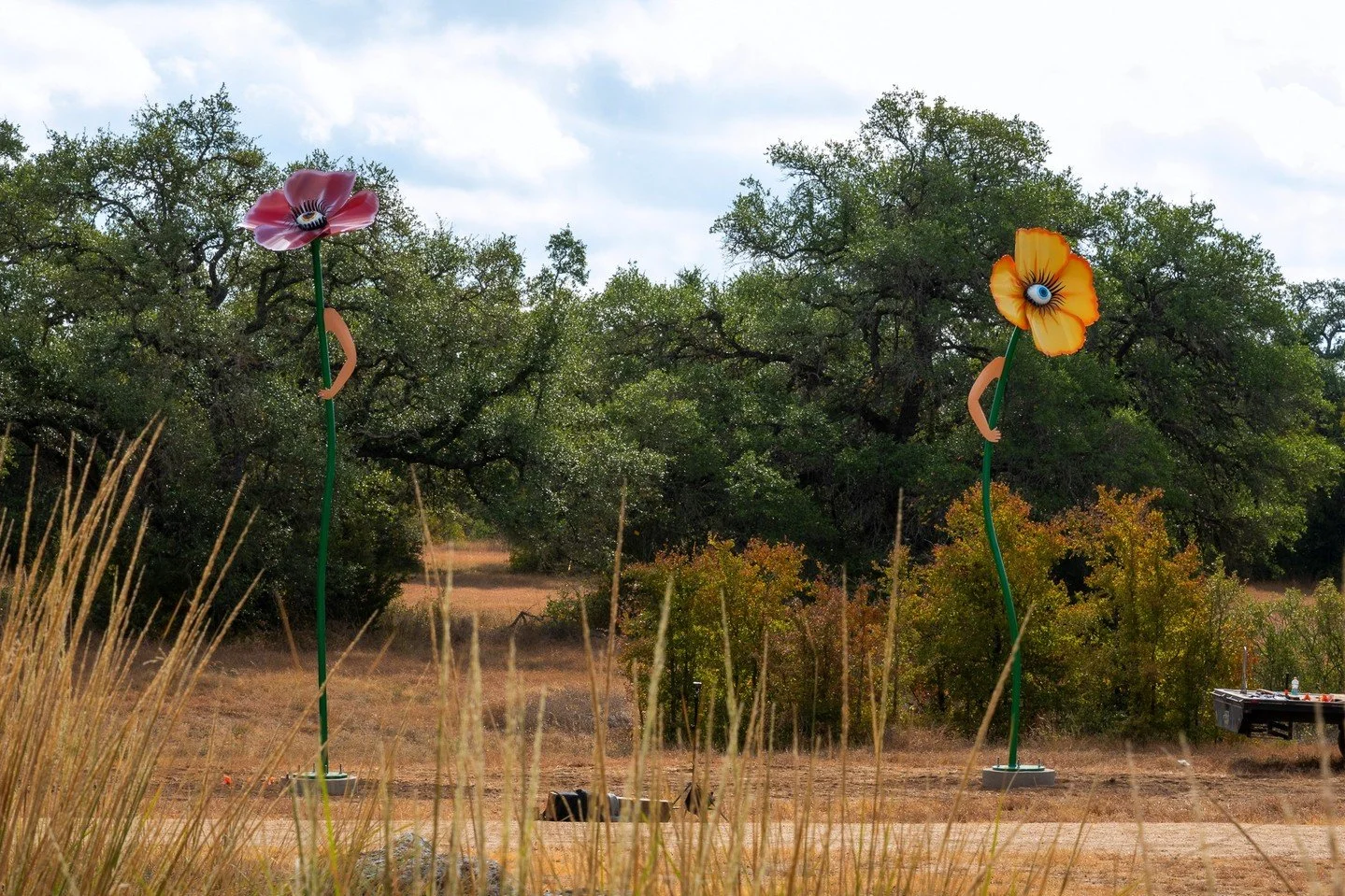 Check out &ldquo;Blossom Gazes&rdquo;, Yuliya Lanina&rsquo;s first ever permanent public art project!🌸

Blossom Gazes is made of steel flowers inspired by native plants. Each bloom contains a watchful eye, inviting us to witness and be seen while re