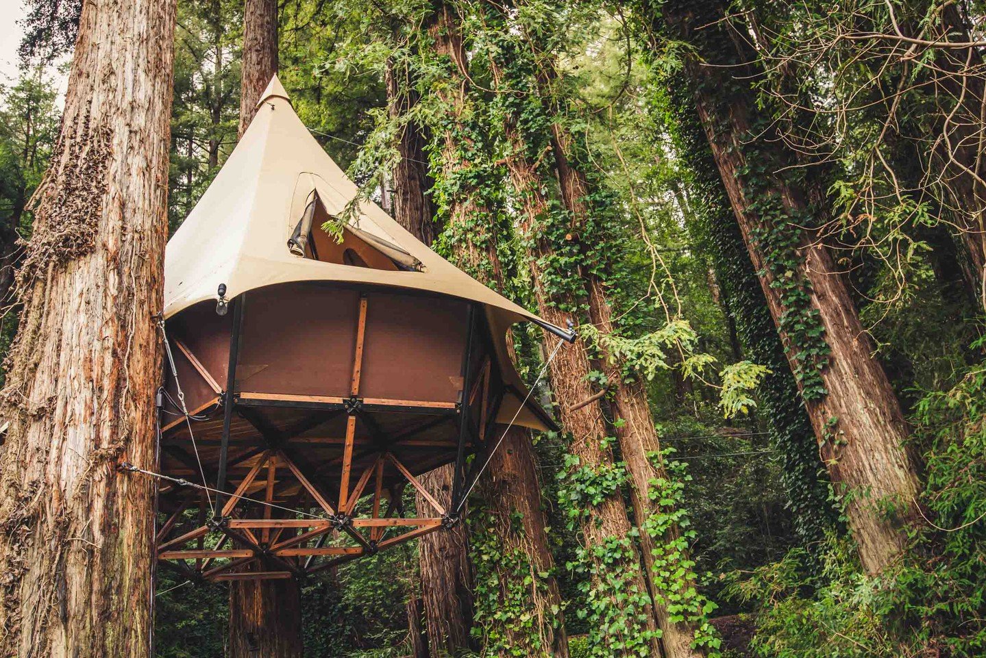 Reconnect with nature in one of these beautiful open air galleries by O2 Treehouse🌳

Treewalkers are modular glamping tree tents with an array of unique interior and exterior finish options. The structural system is made of steel and wood. Fun fact:
