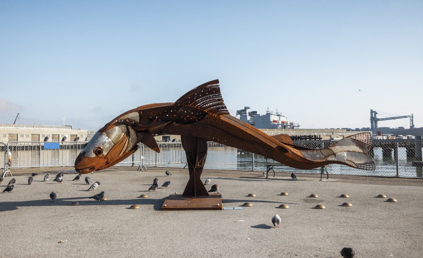 Our next Big Art Loop feature is Bryan Tedrick&rsquo;s &ldquo;Steelhead&rdquo;, which transformed something tragic into something beautiful!

The four primary beams of this structure were salvaged from the remains of Soda Rock Winery in Healdsburg, C