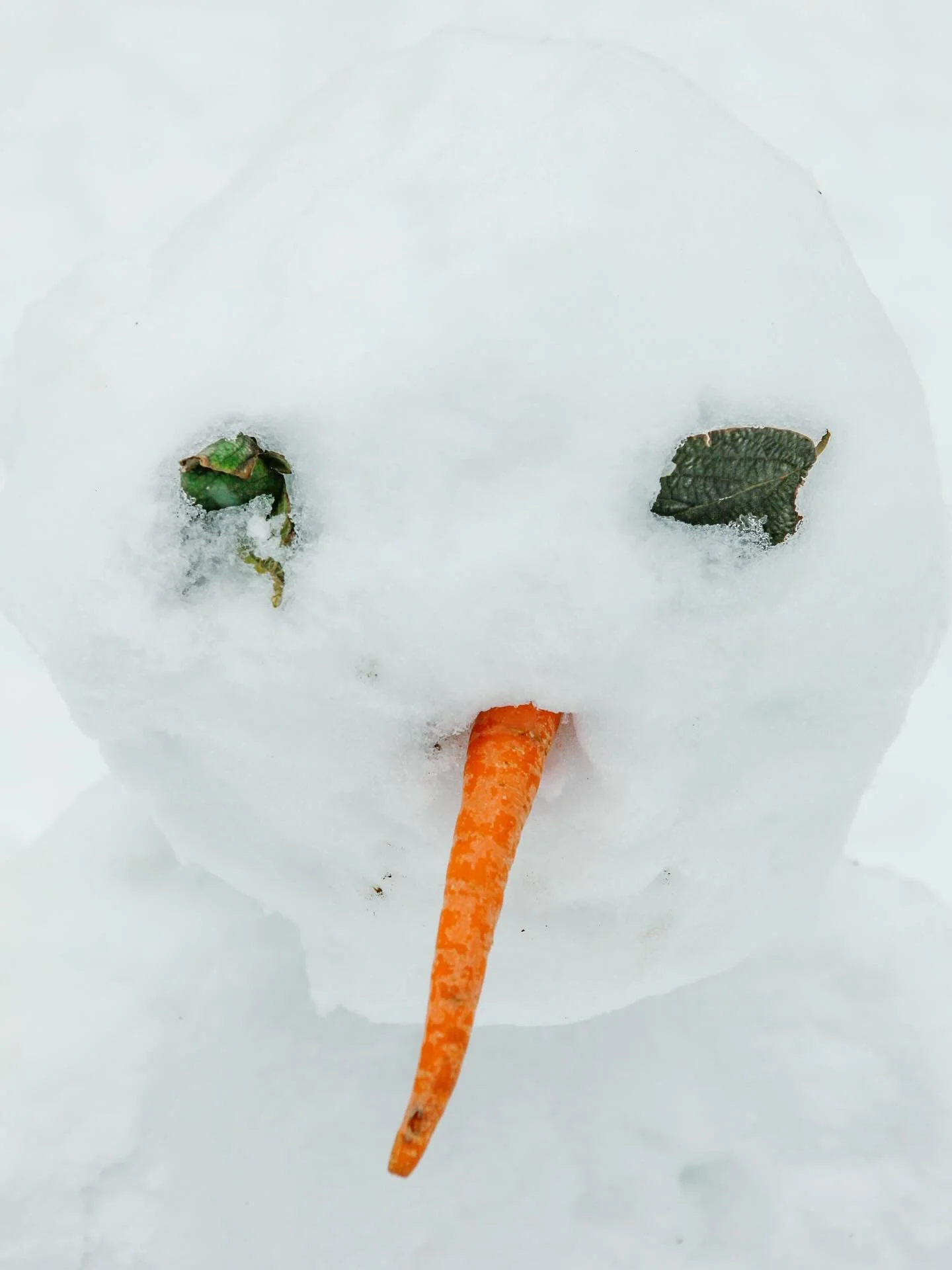 With how cold it feels outside today, we&rsquo;re reminded of some snowier times back in Brooklyn. ☃️😊💙

#streetphotography #nyc #brooklyn #prospectpark
