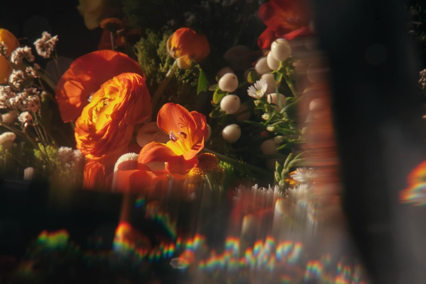 Hey Charleston 👋 We&rsquo;re COZO, your friendly neighborhood photographer wife/husband duo. We love capturing real, unposed moments and making people (and flowers) feel comfortable in front of the camera. 

We&rsquo;re now booking weddings, portrai