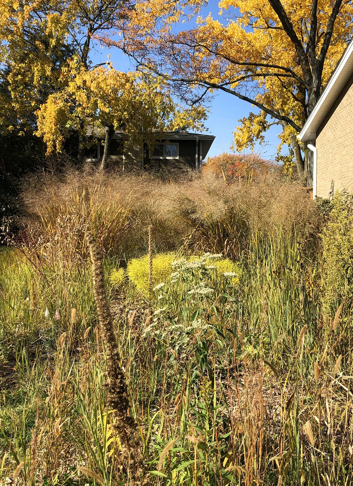 garden MH_53 b.jpg