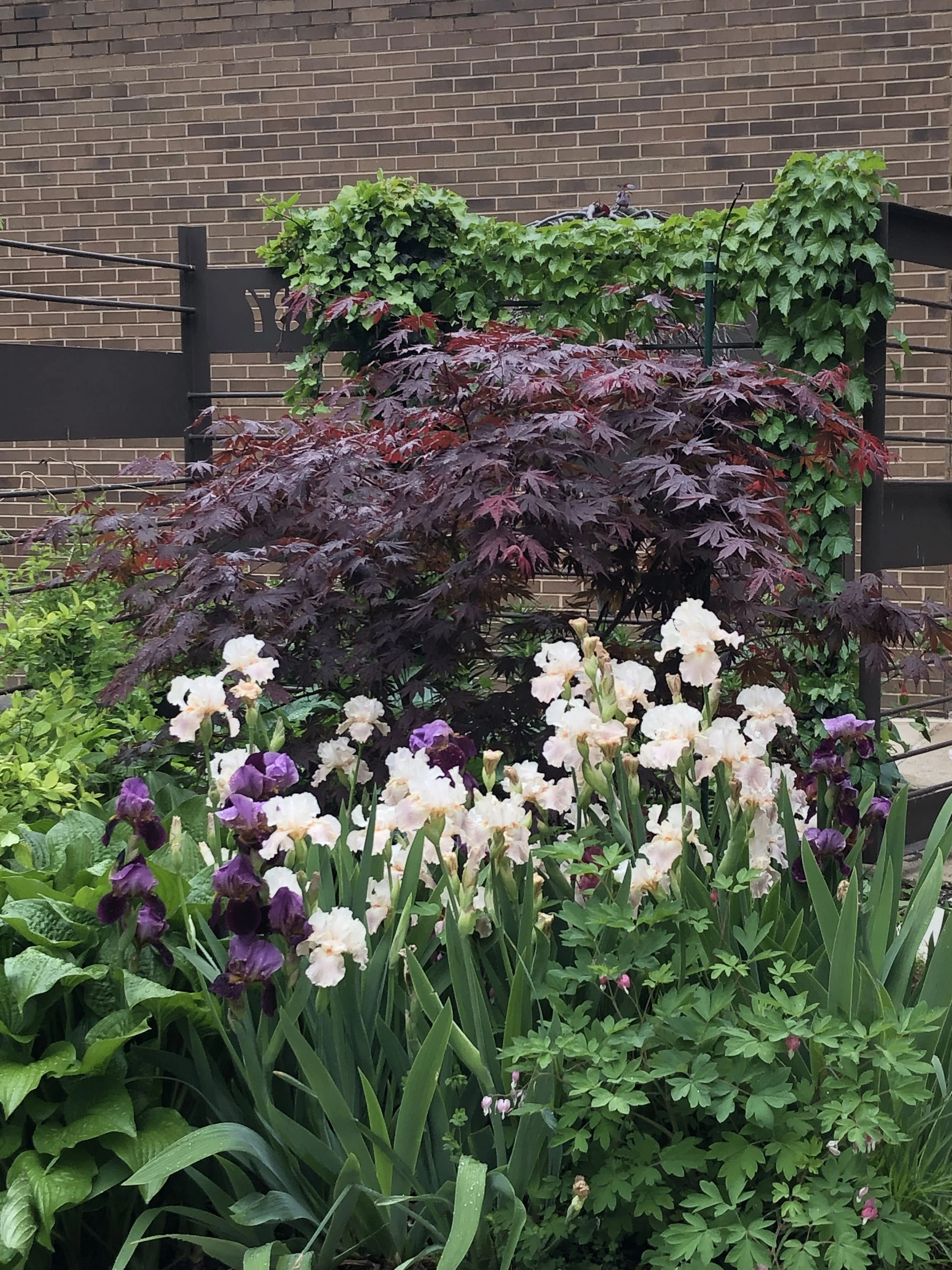 garden PW_40.JPG