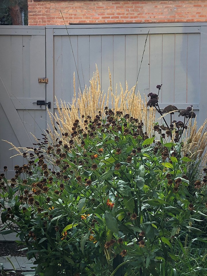 garden - ANDREA 2.jpeg