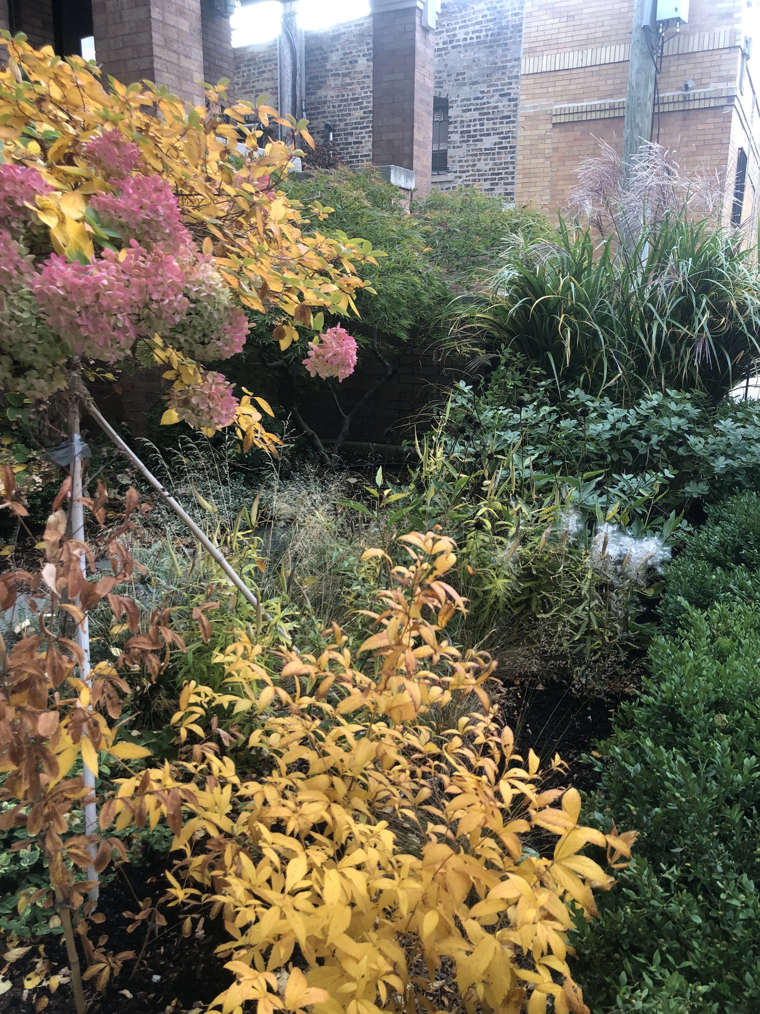 garden - ANDREA 20.JPG