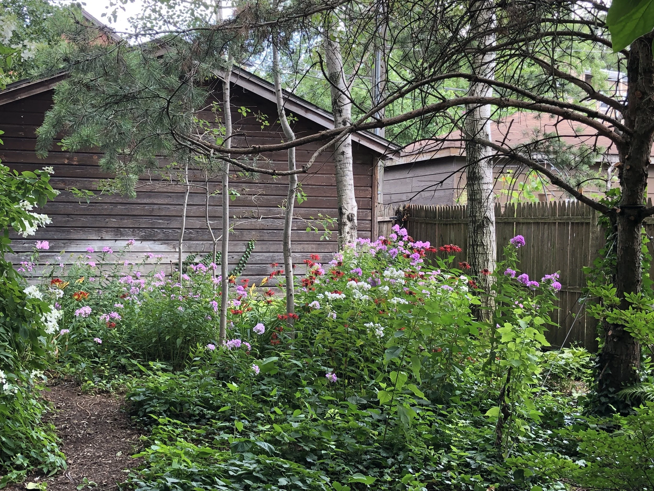 garden - TED 5.JPG