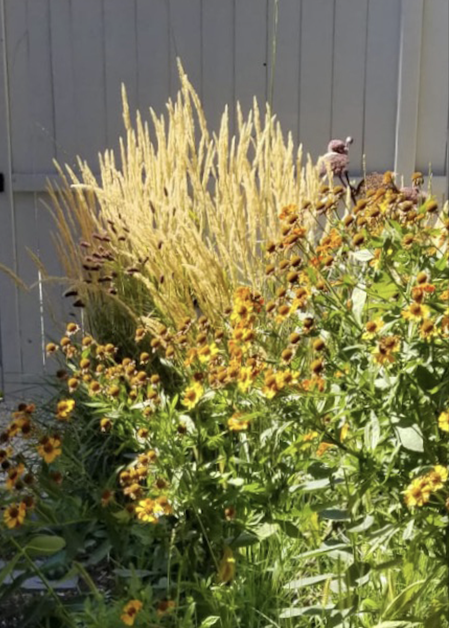 garden - ANDREA 3 d.png