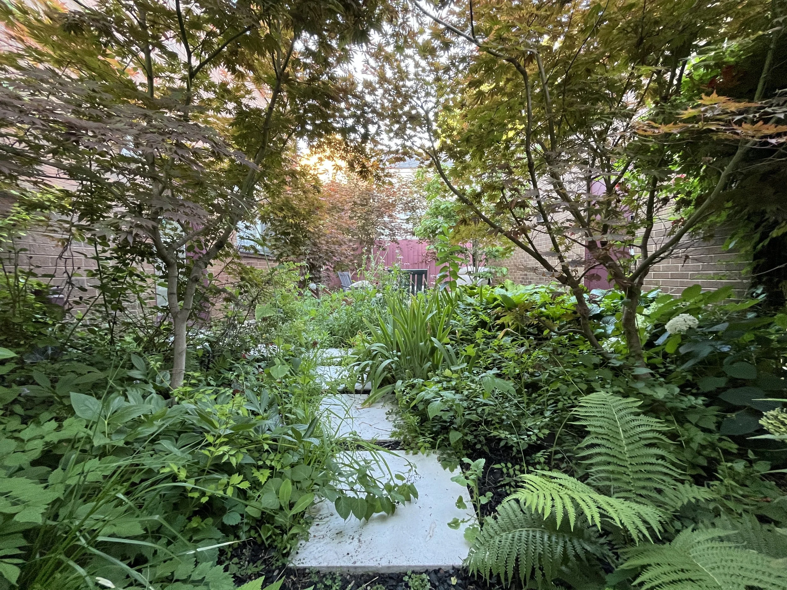 260811_JOAO GARDEN 06.JPG
