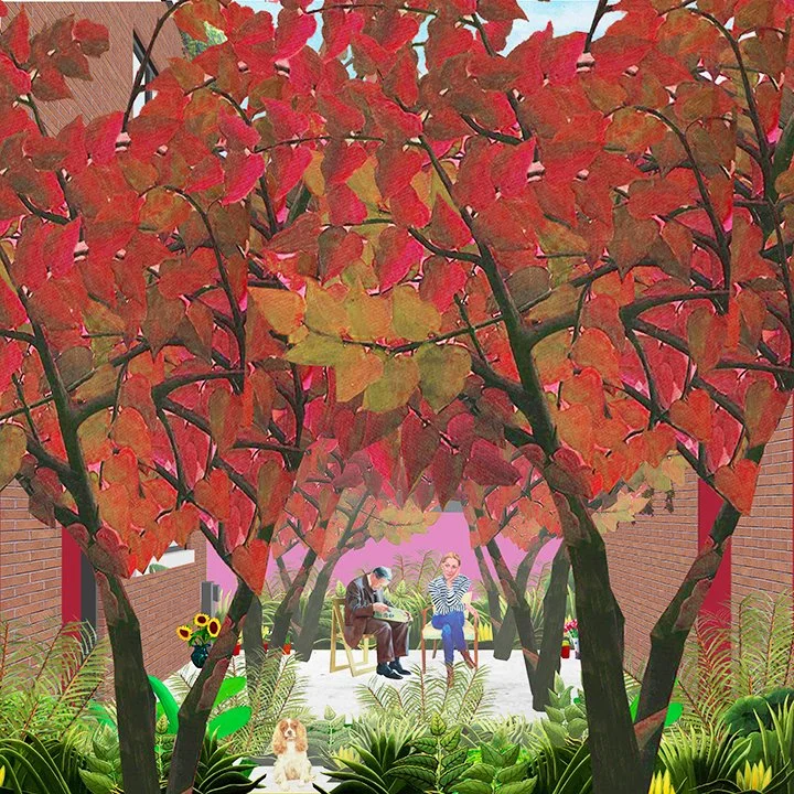 garden PW_01.jpg