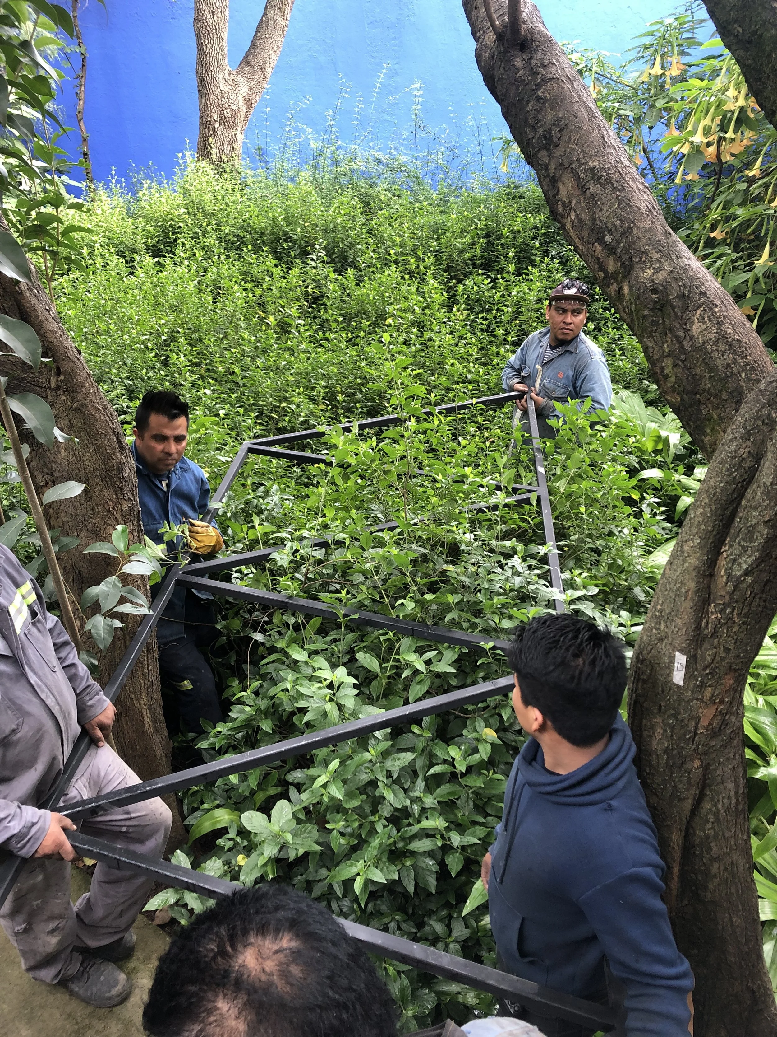 IMG_6742.jpeg
