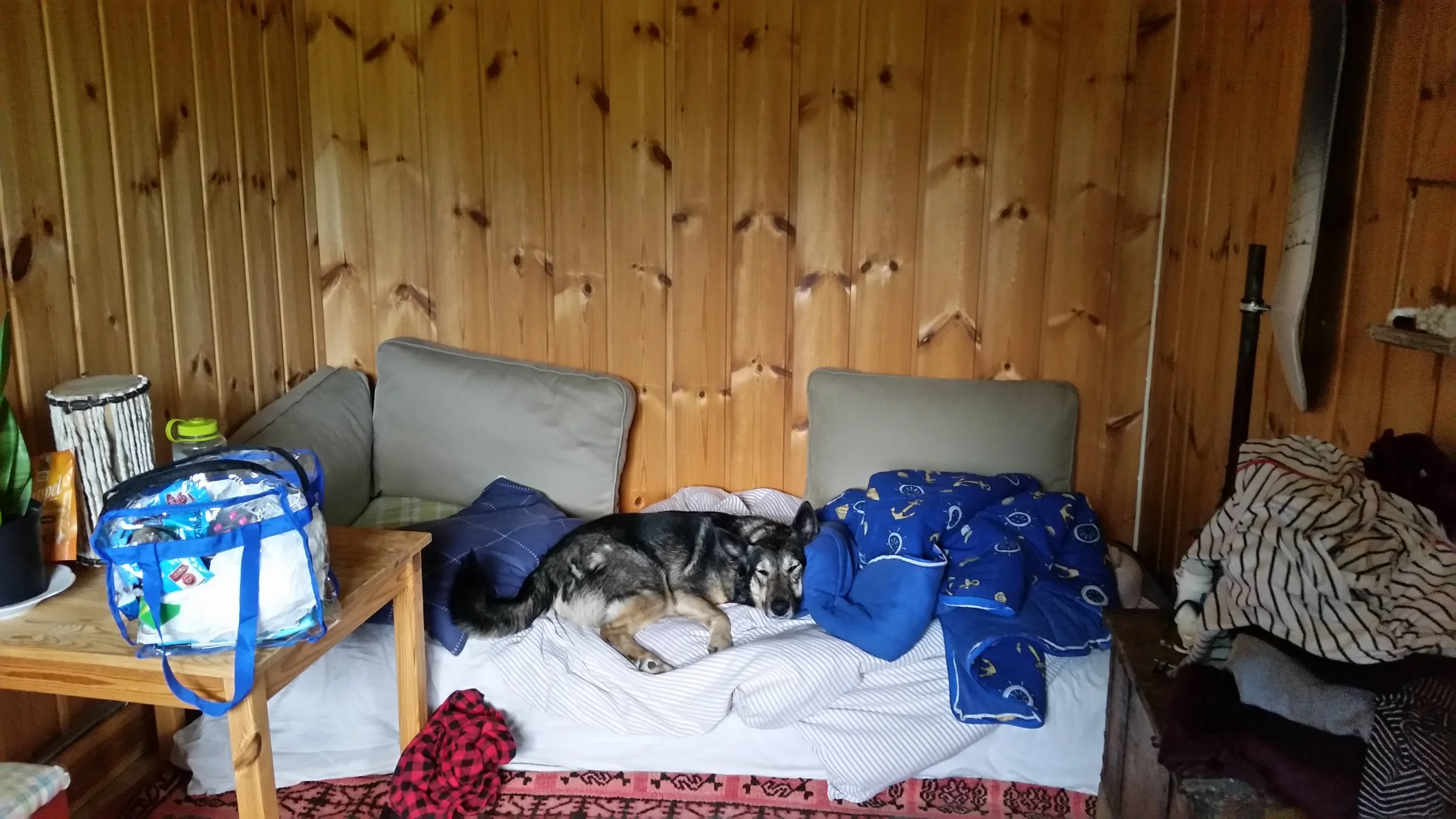 20170615_195830.jpg