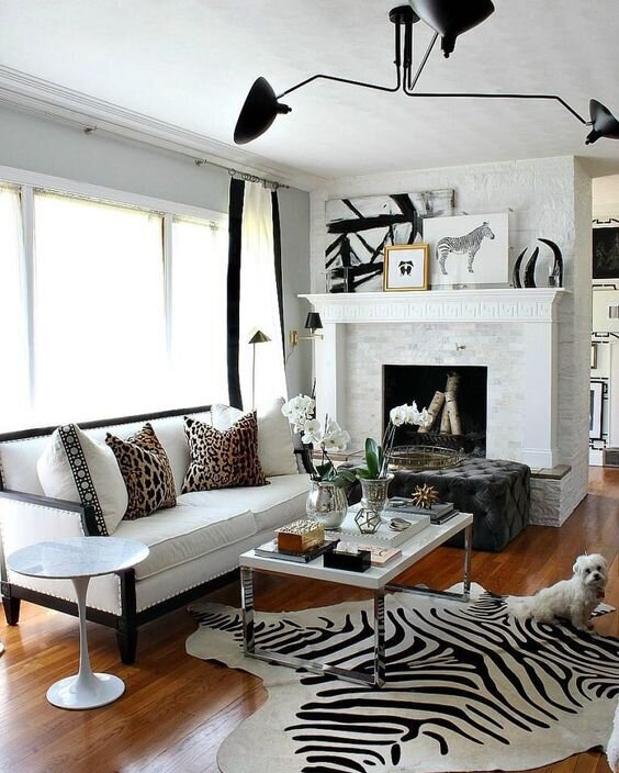 How to Style with Zebra Print — James Décor