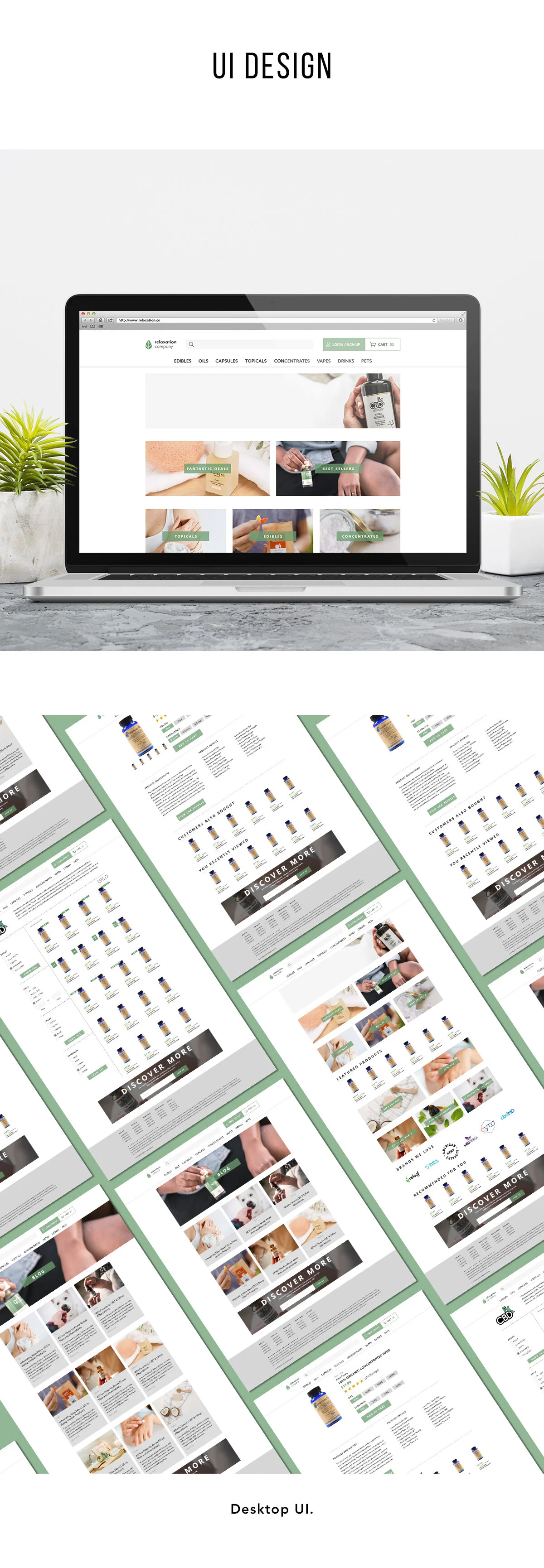 The Relaxation Company Branding and Design Desktop-01.jpg