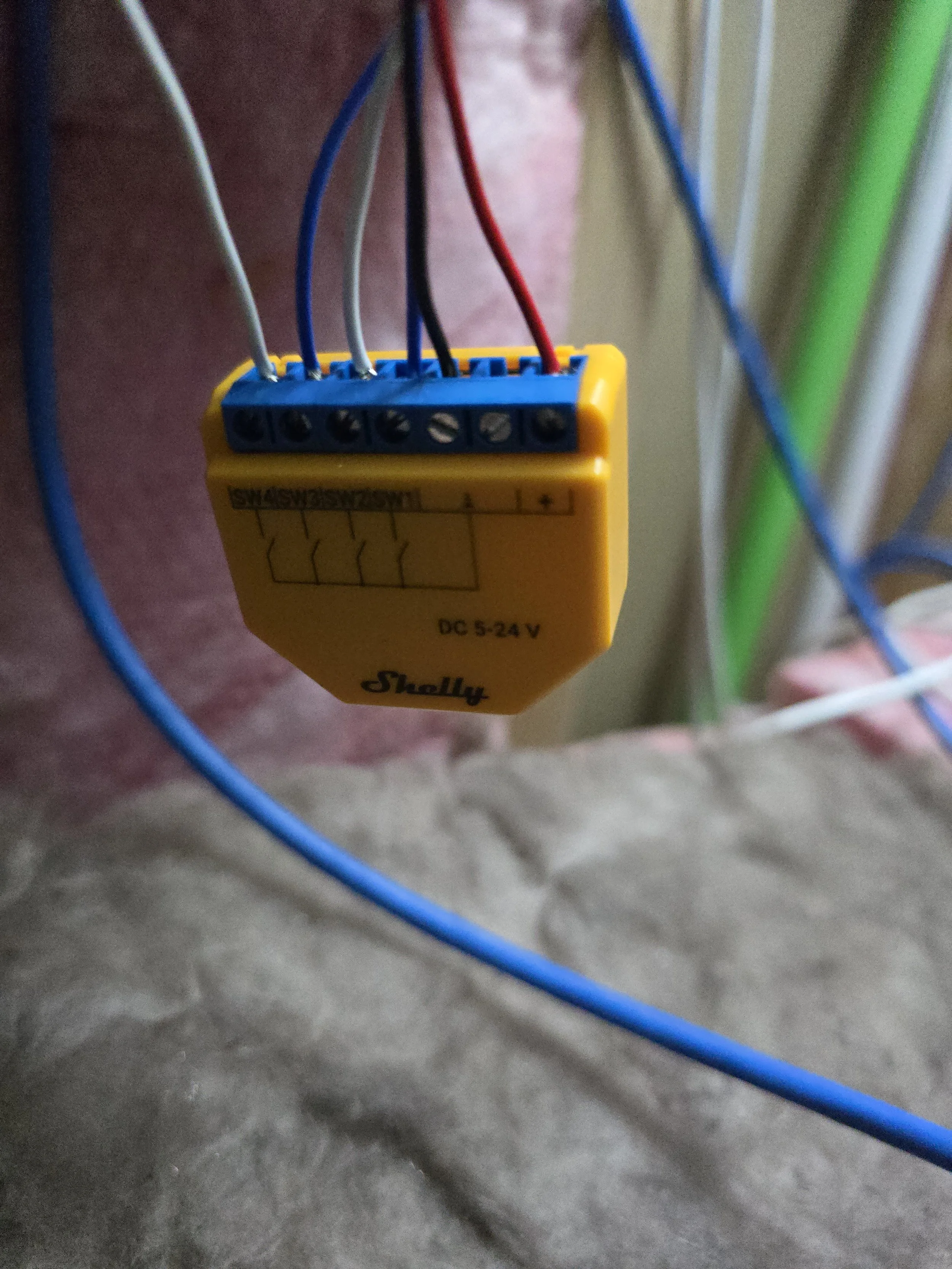 Smart relay device with multiple wires connected to it, labeled "Shelly" and rated for DC 5-24V, hanging against a blurred background.