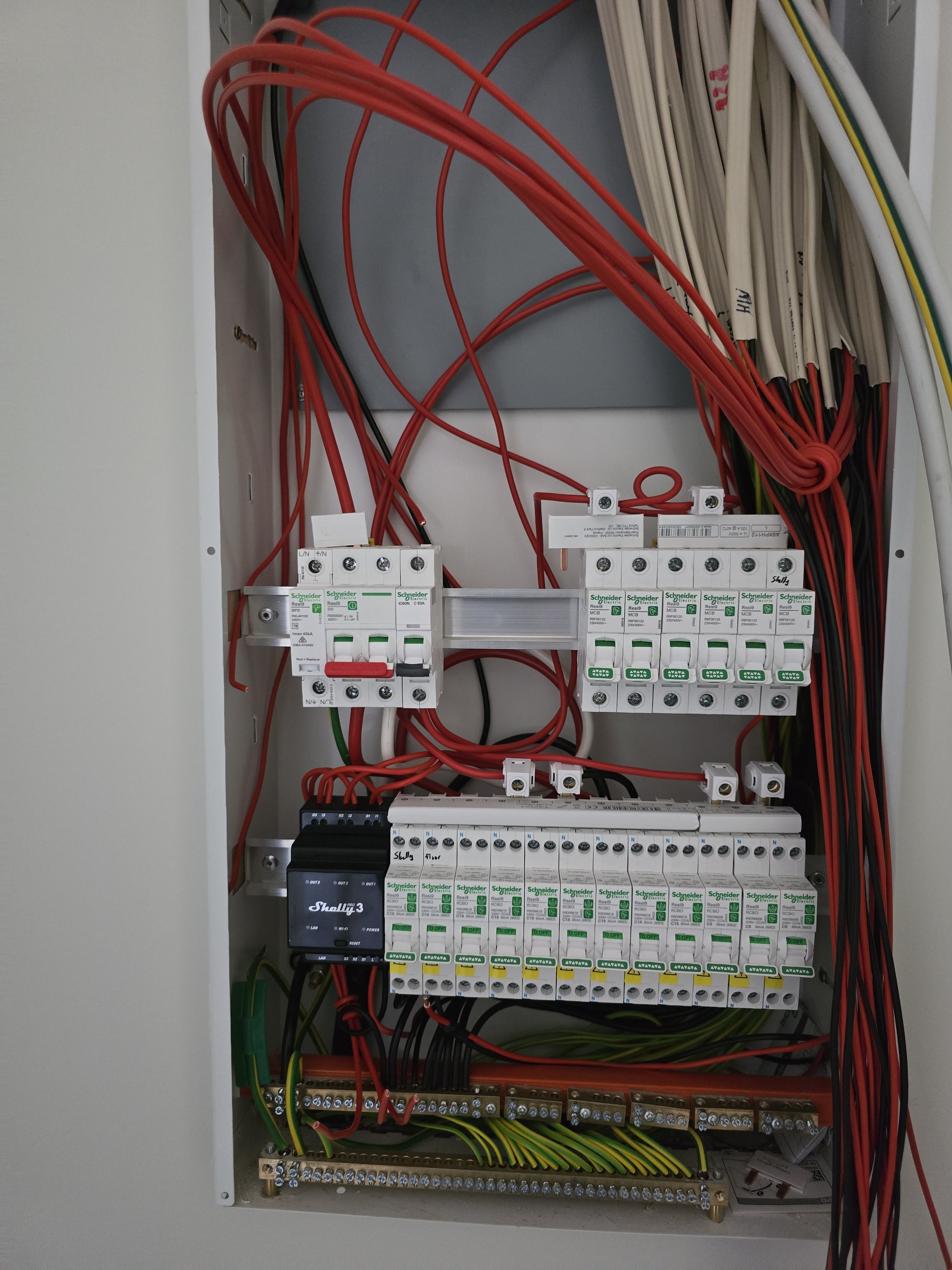 Electrical distribution panel with switches and wiring