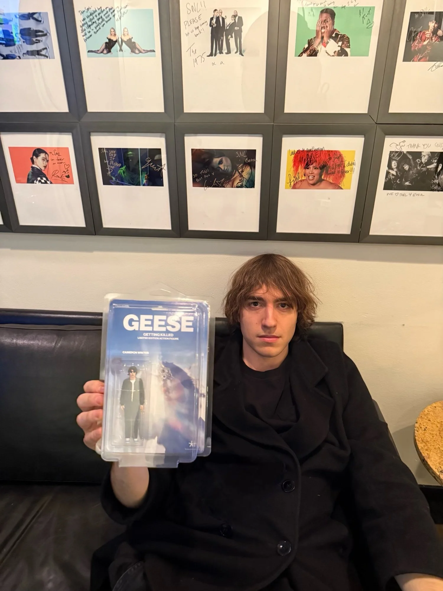 Cameron Winter of Geese - January 22, 2026