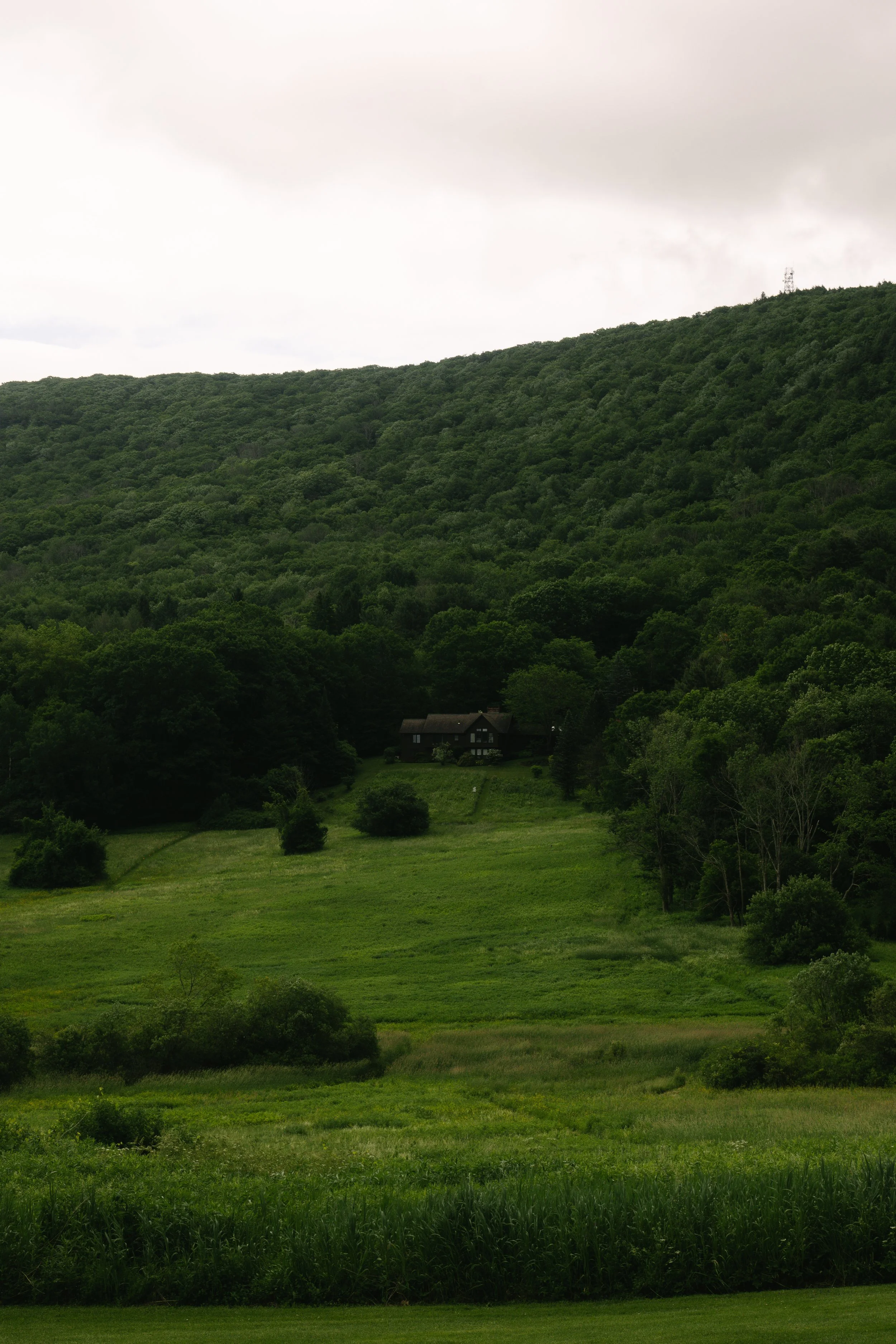 023_8048.jpg