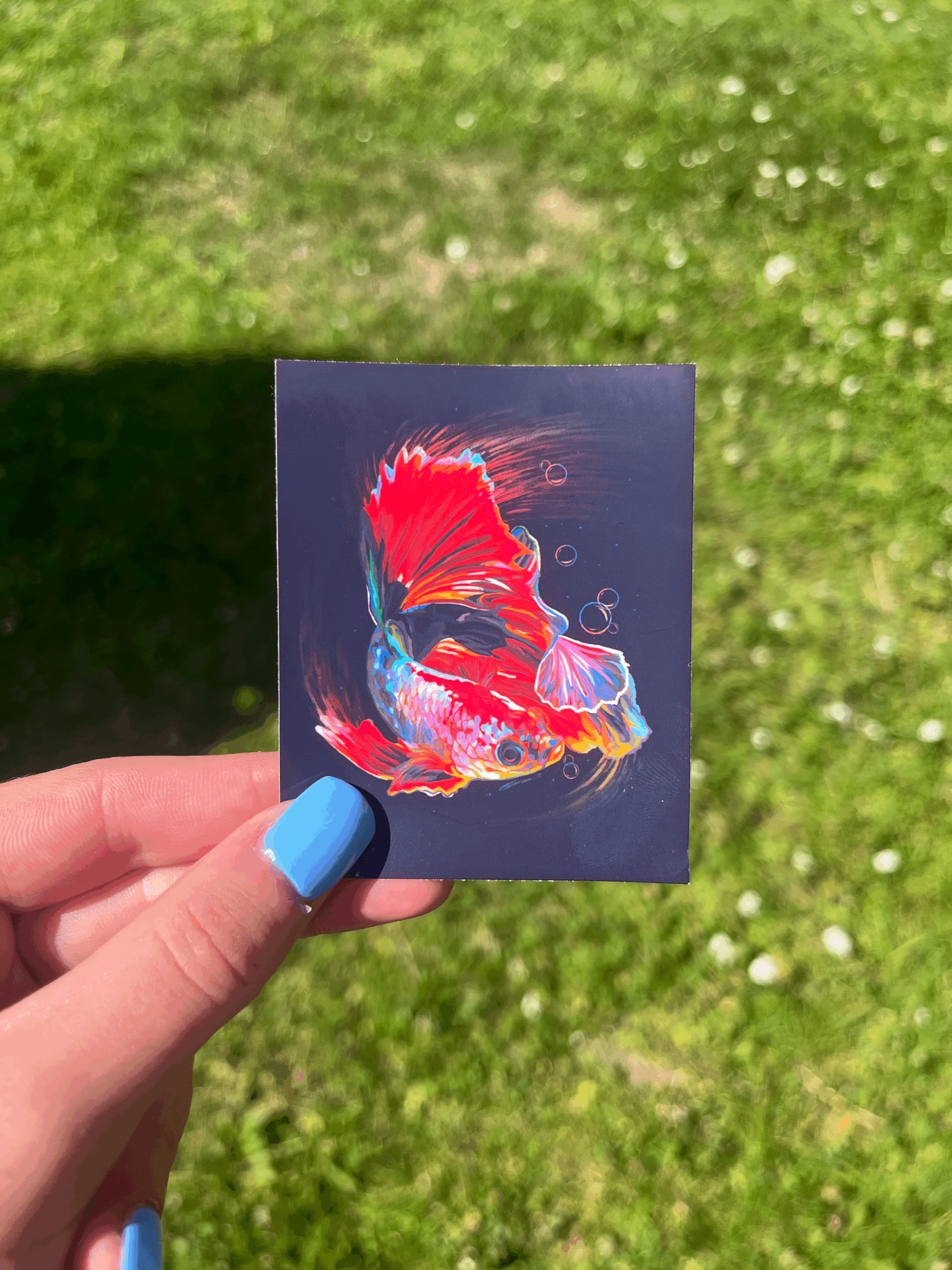 "BETTA FISH" - sticker