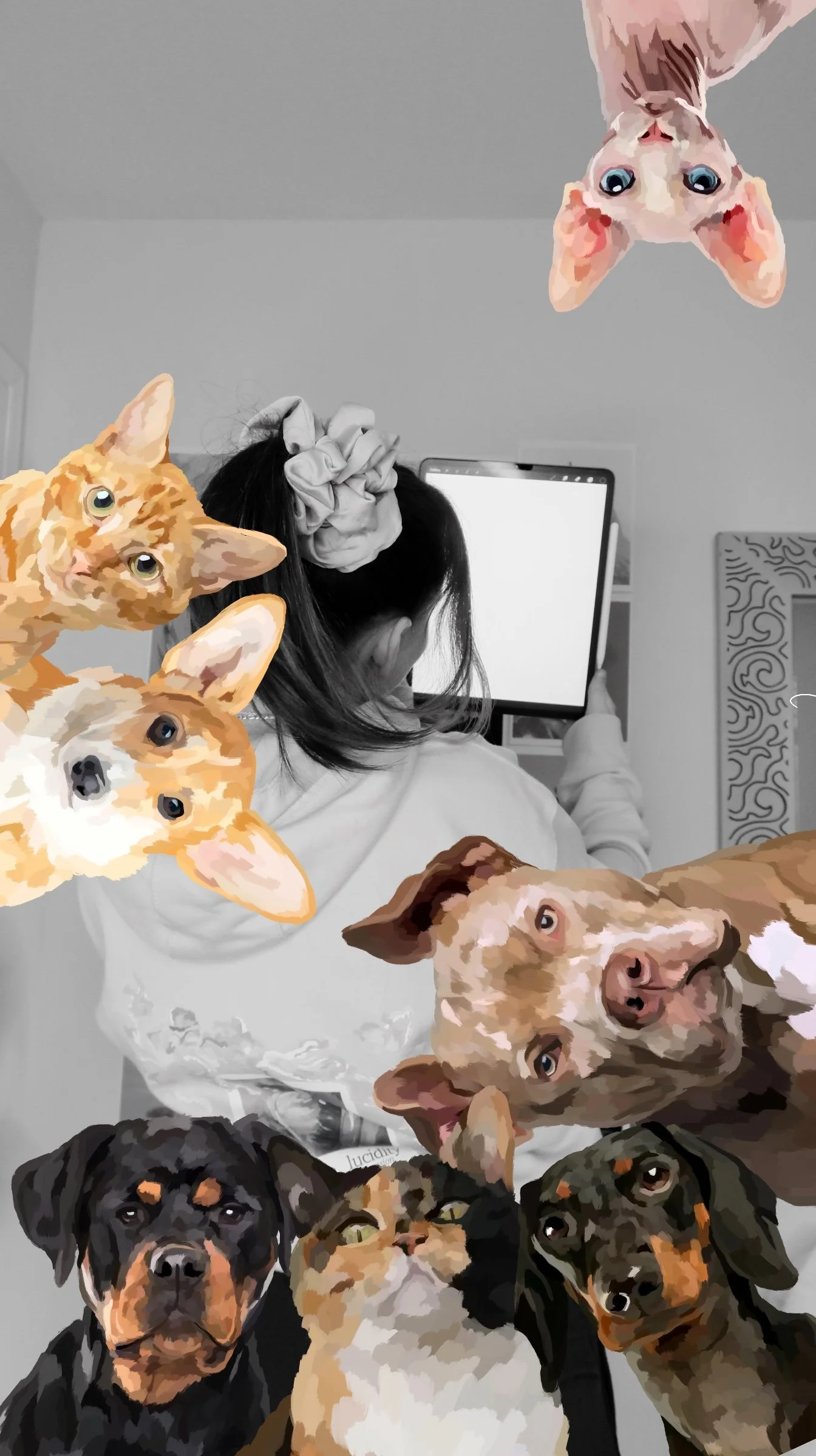 QUICK DIGITAL PET PORTRAITS