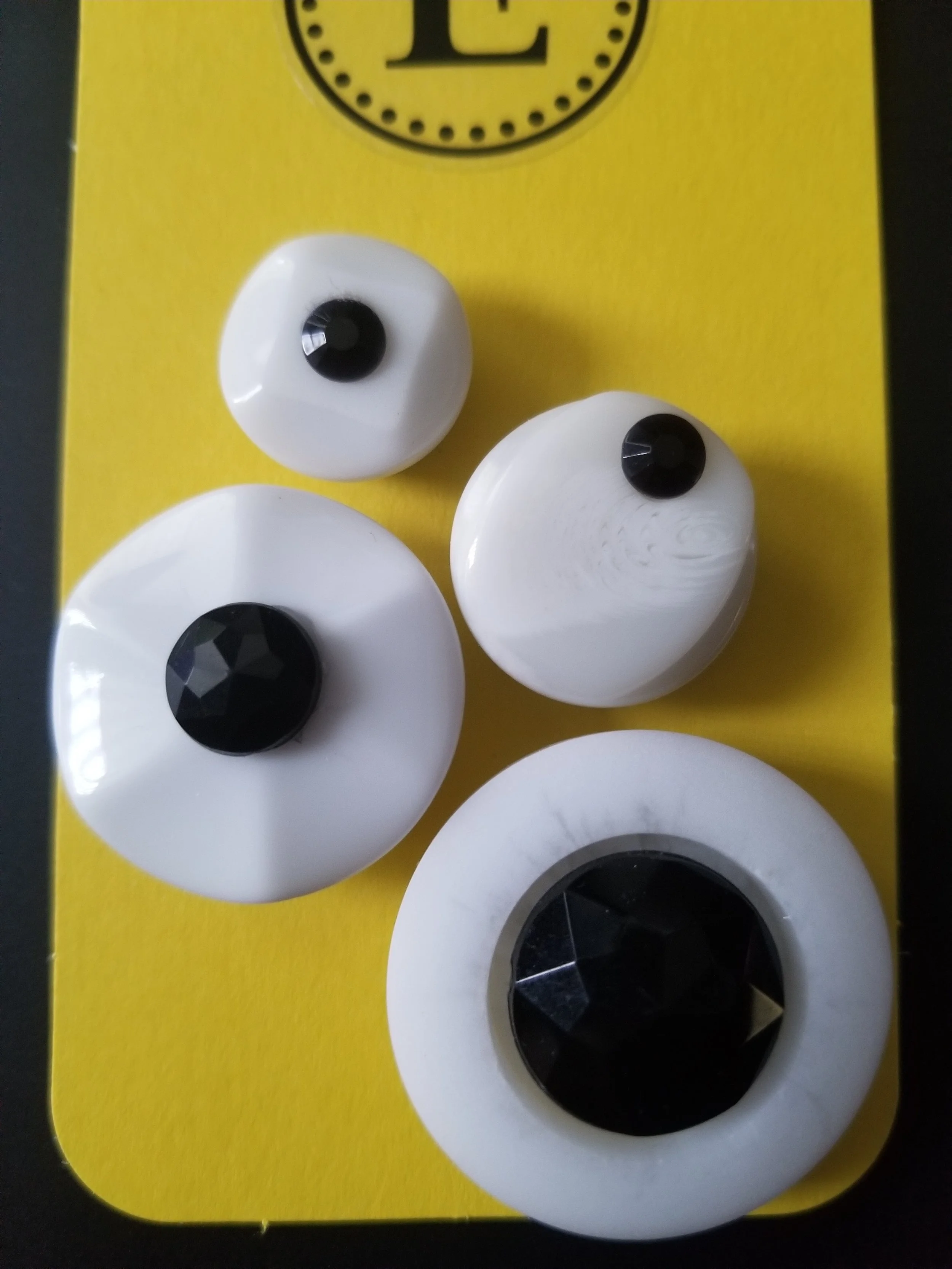 20180804_124316.jpg