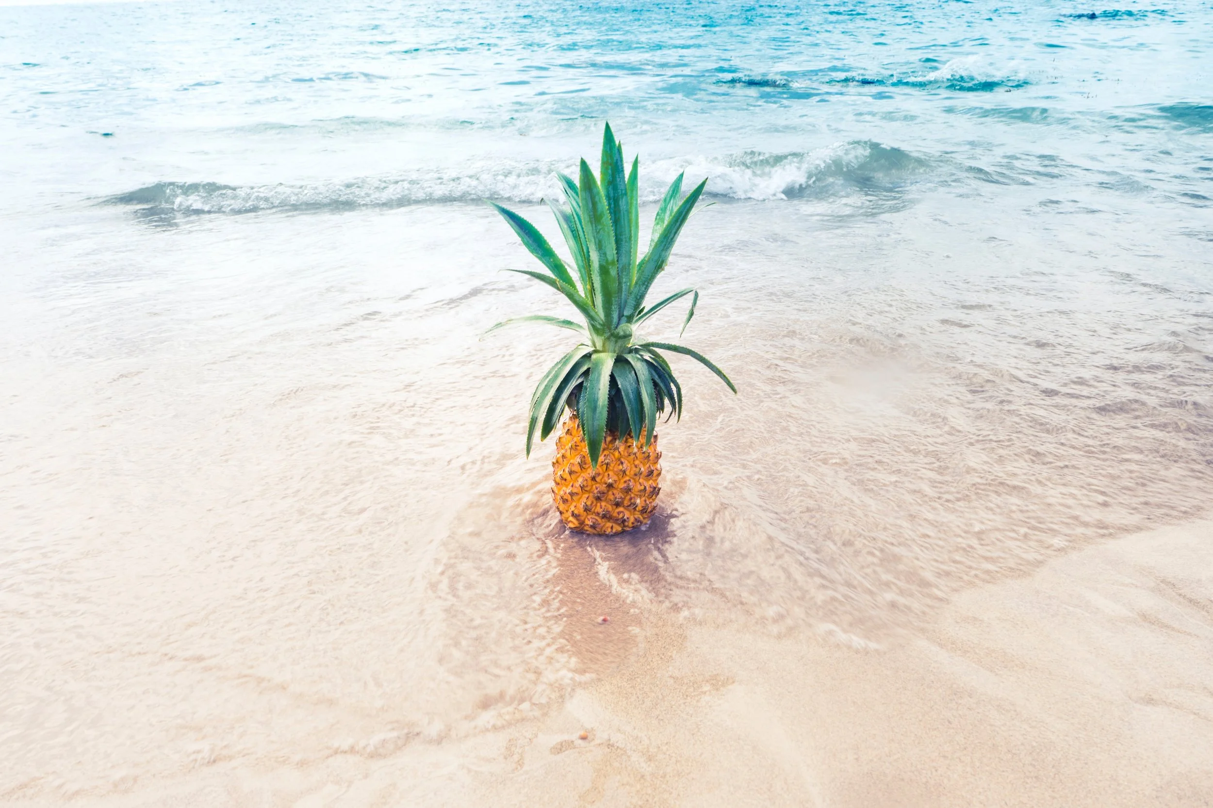 evi-radauscher-325123-unsplash (1).jpg