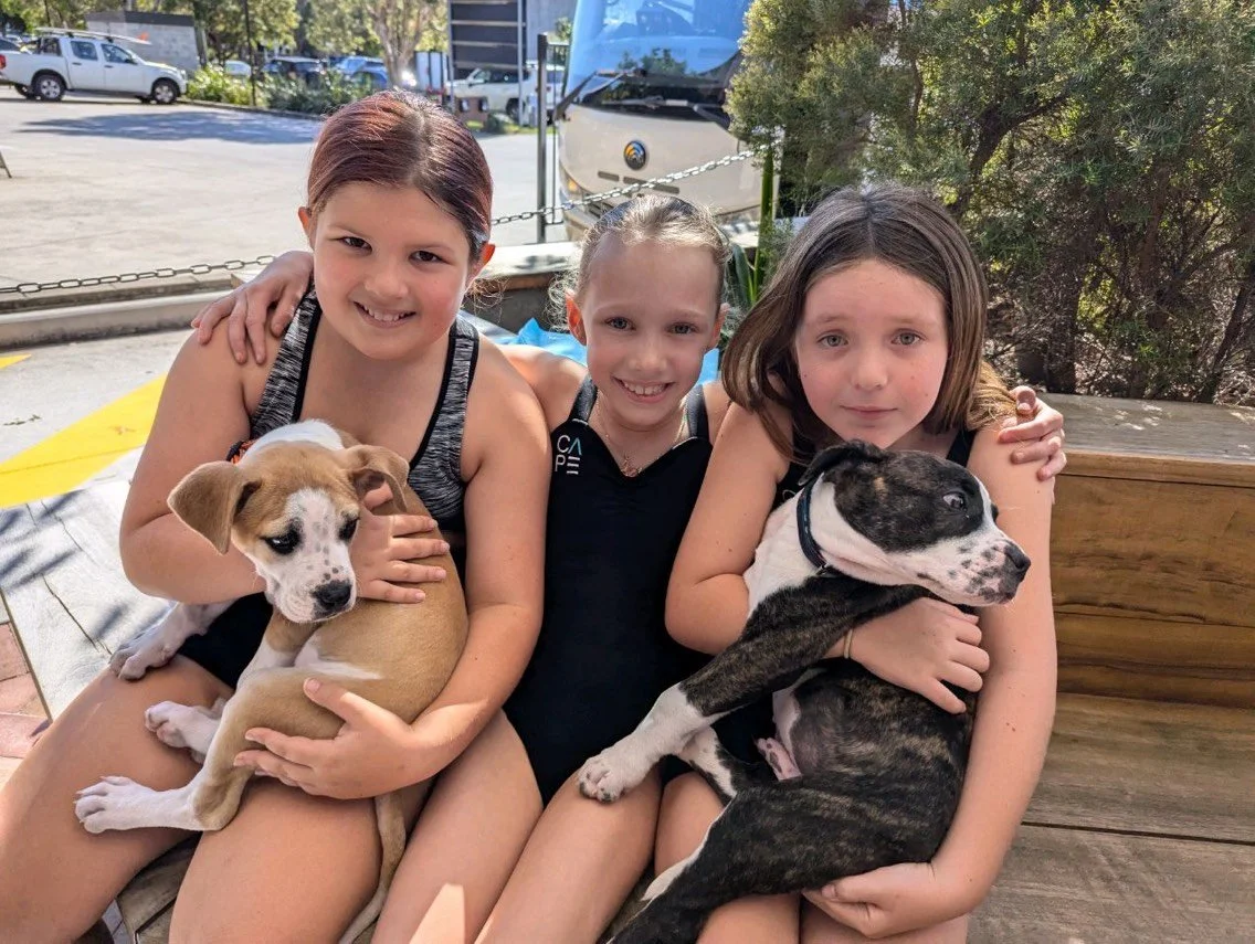 Paws, Pints &amp; New Best Mates: Dog Adoption Day Is Back