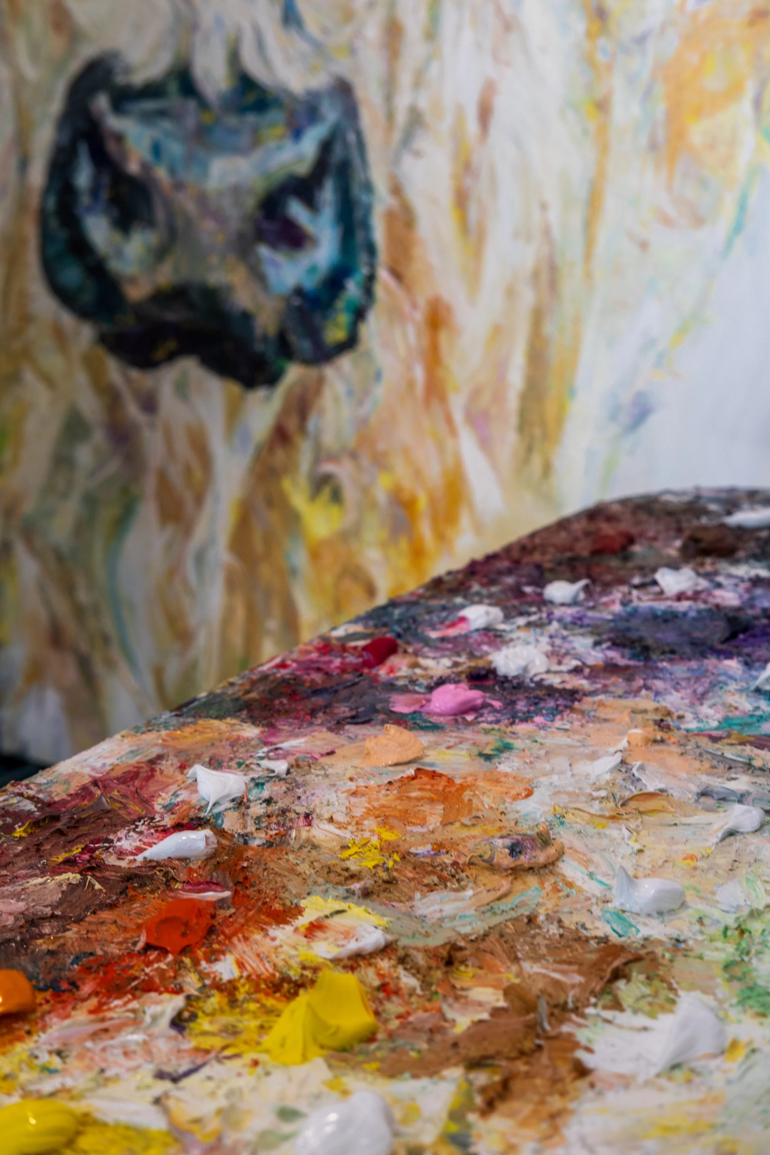 Photo 11-2-2026, 12 08 26 pm.jpg